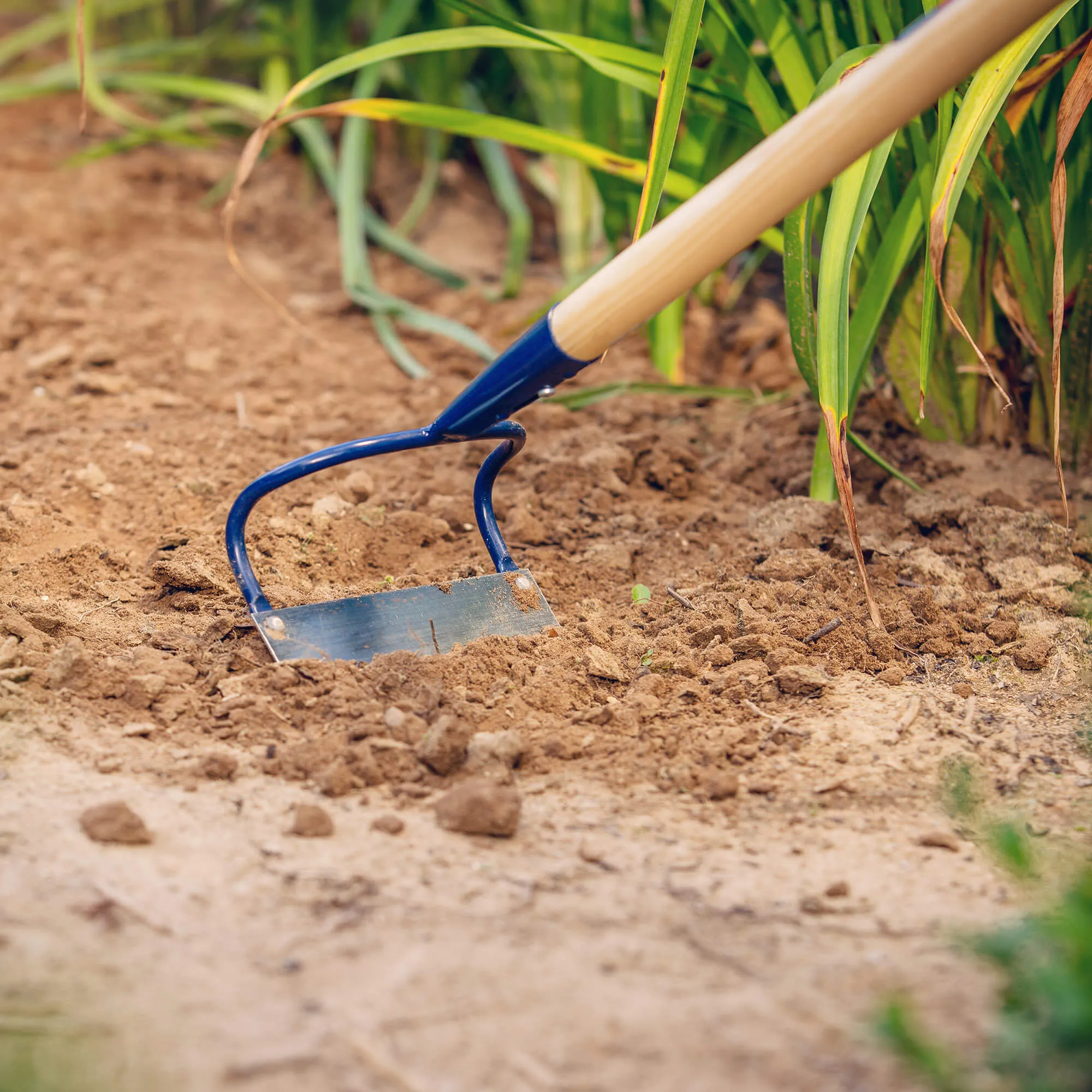 Doville sodo kauptukas 16 x 118 cm