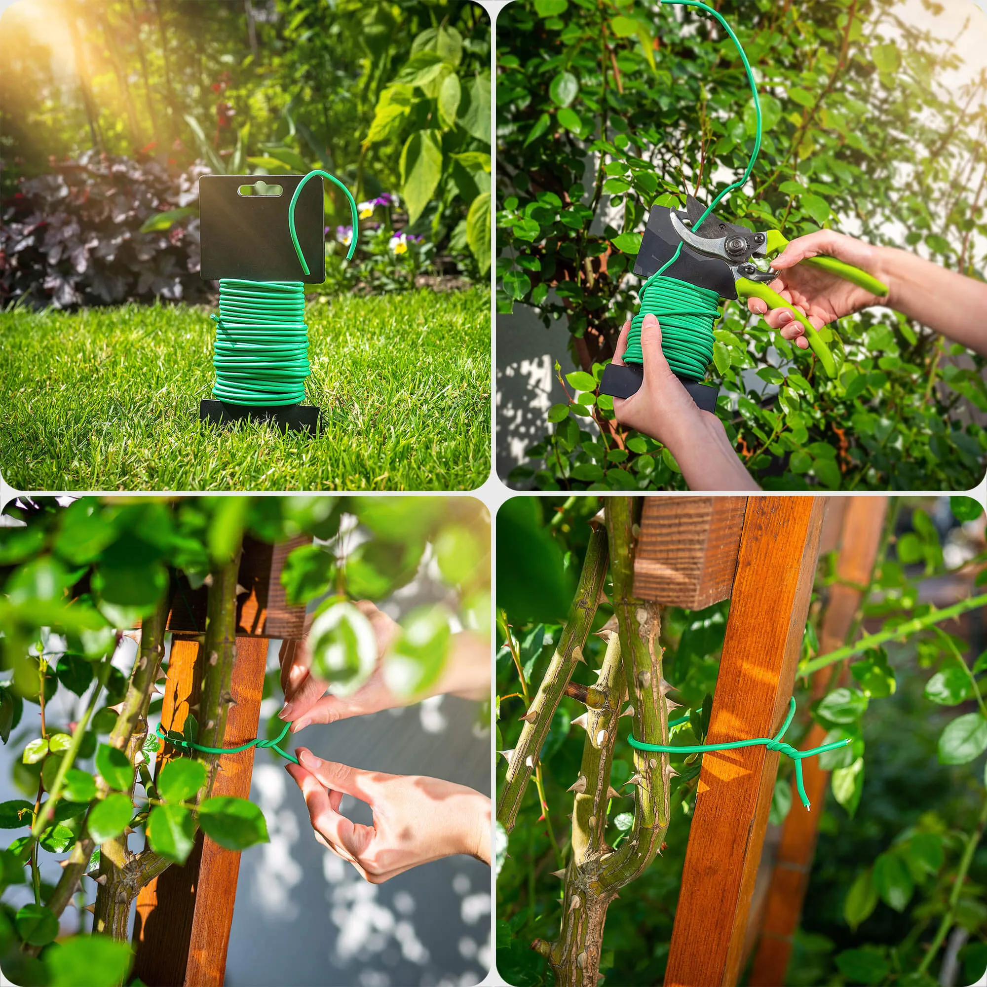 Draix TPR 8 m susuktas augalų raištelis