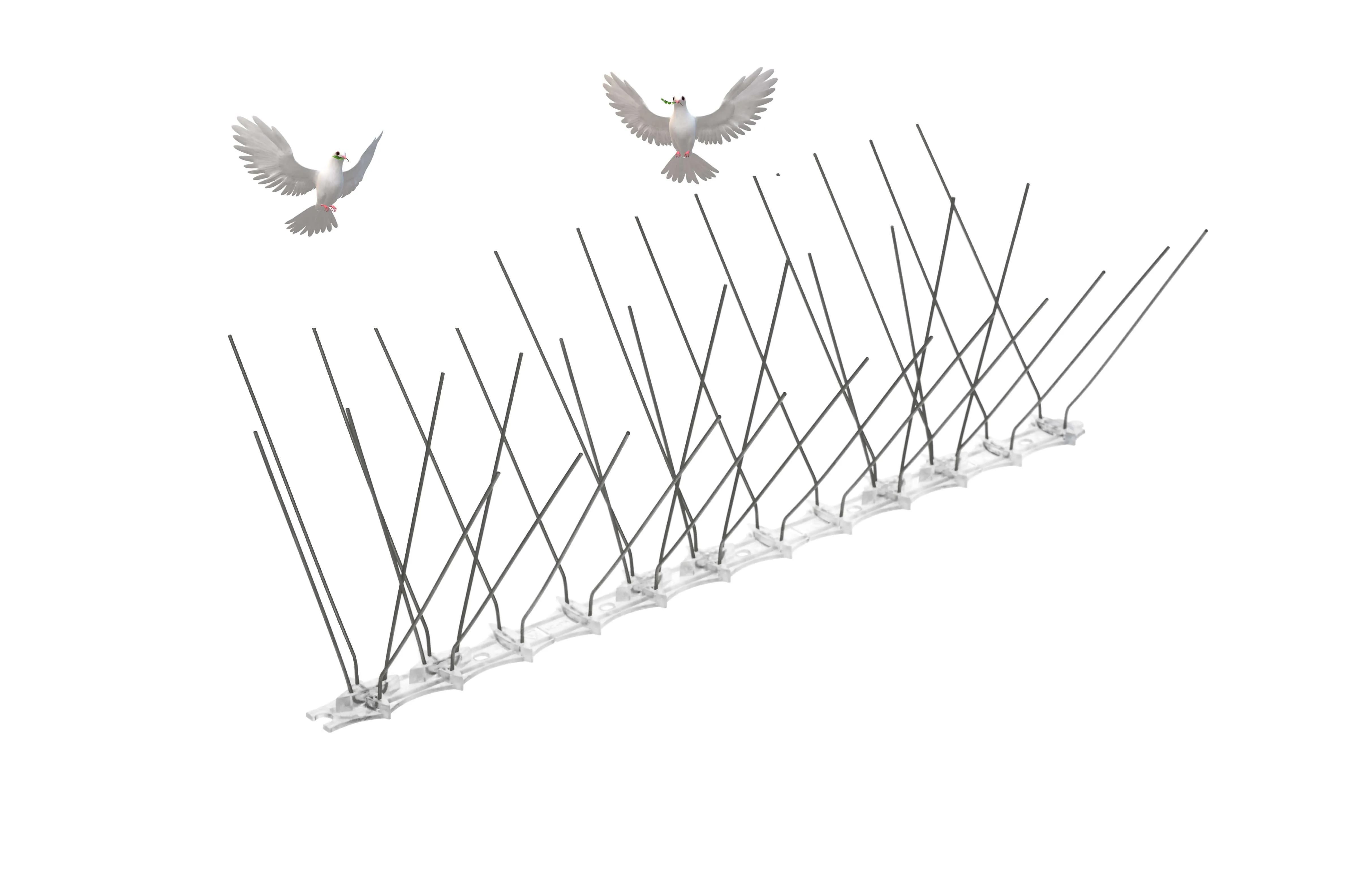 Paukščių spygliai 16 x 33 cm, 1 vnt.