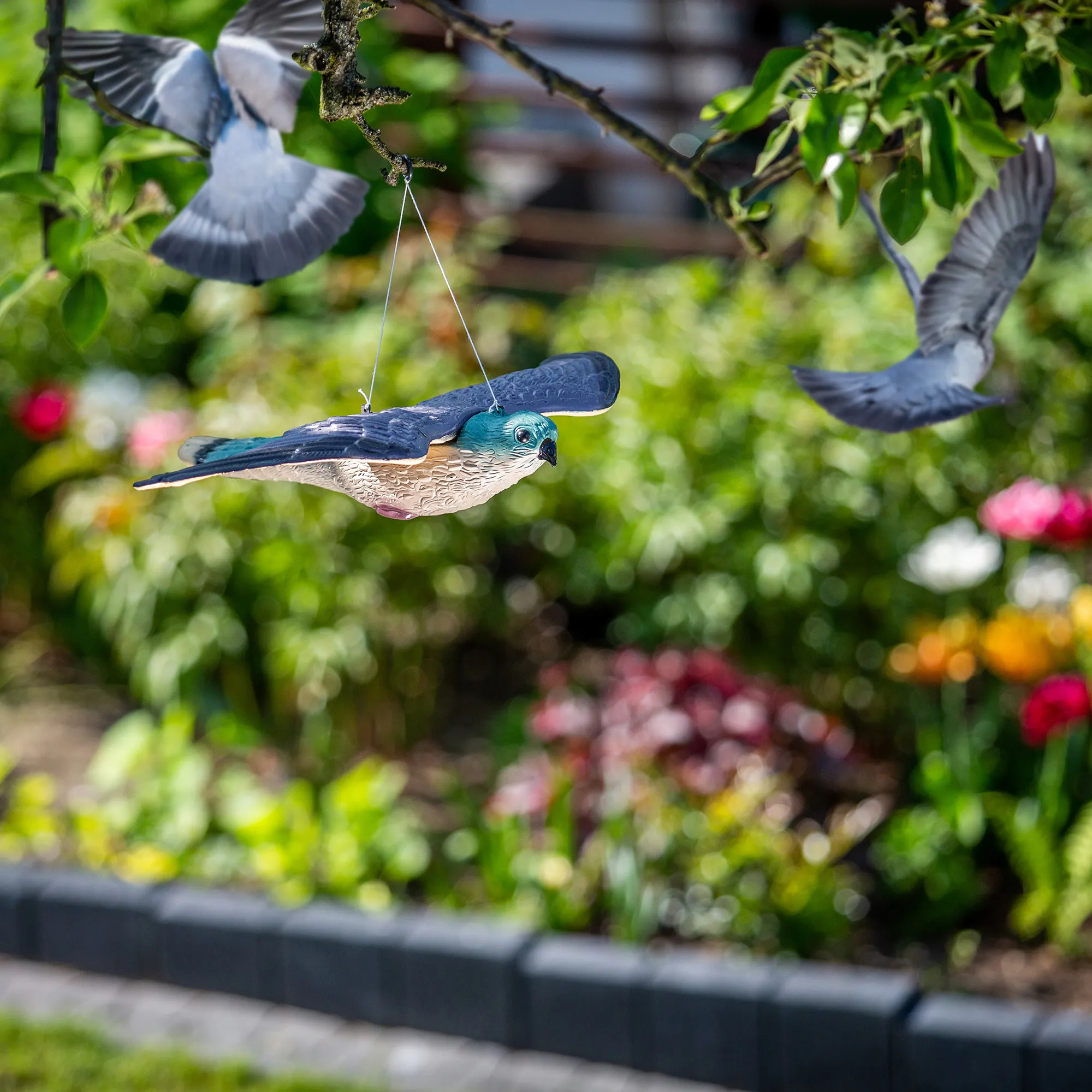 Skraidantis pelėsakalis 54 cm, vanago, balandžio ir paukščių baidytuvas