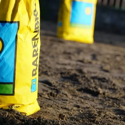 Barenbrug Universal RPR Play&Sport sportinė žolė 15 kg