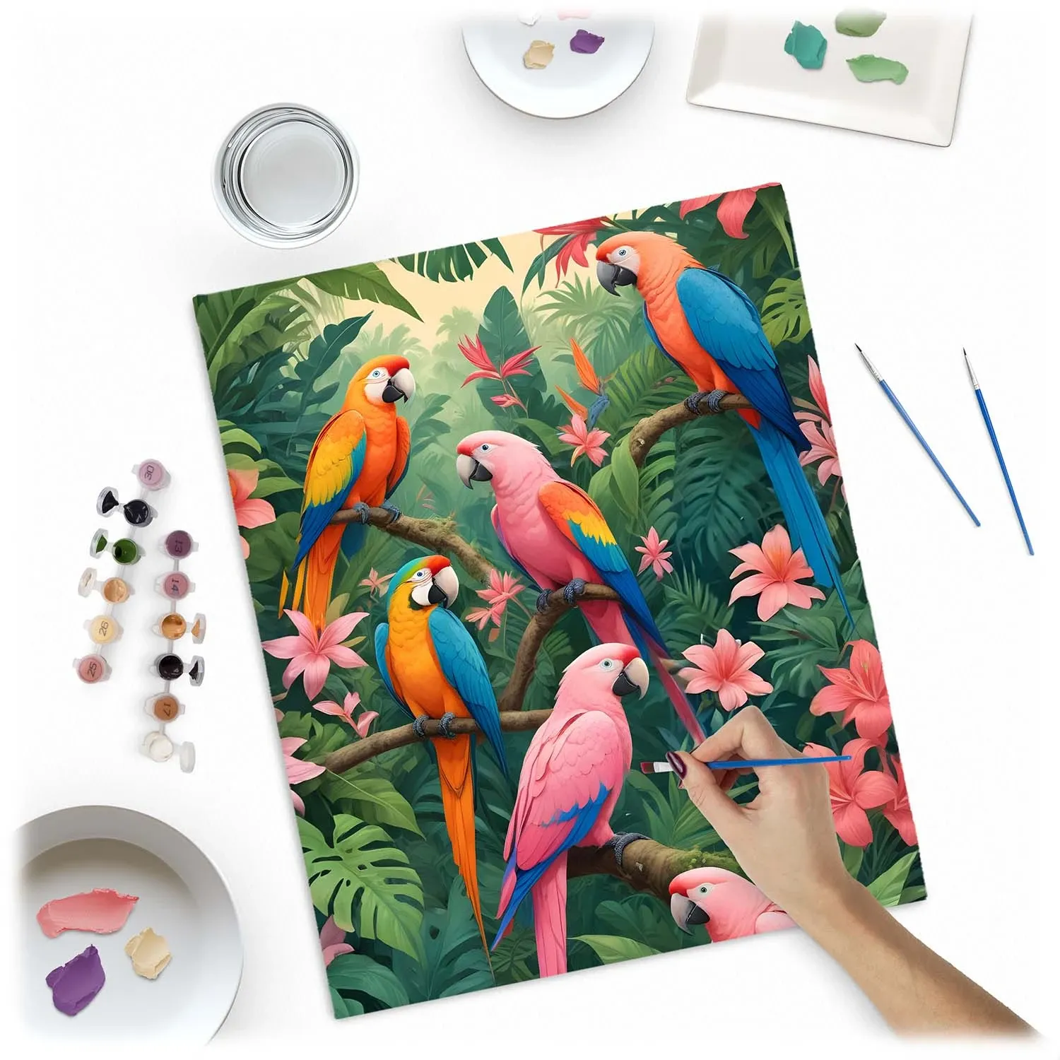 Paveikslas tapyti pagal skaičius 40x50 cm Massido Papugi - nuotrauka 1