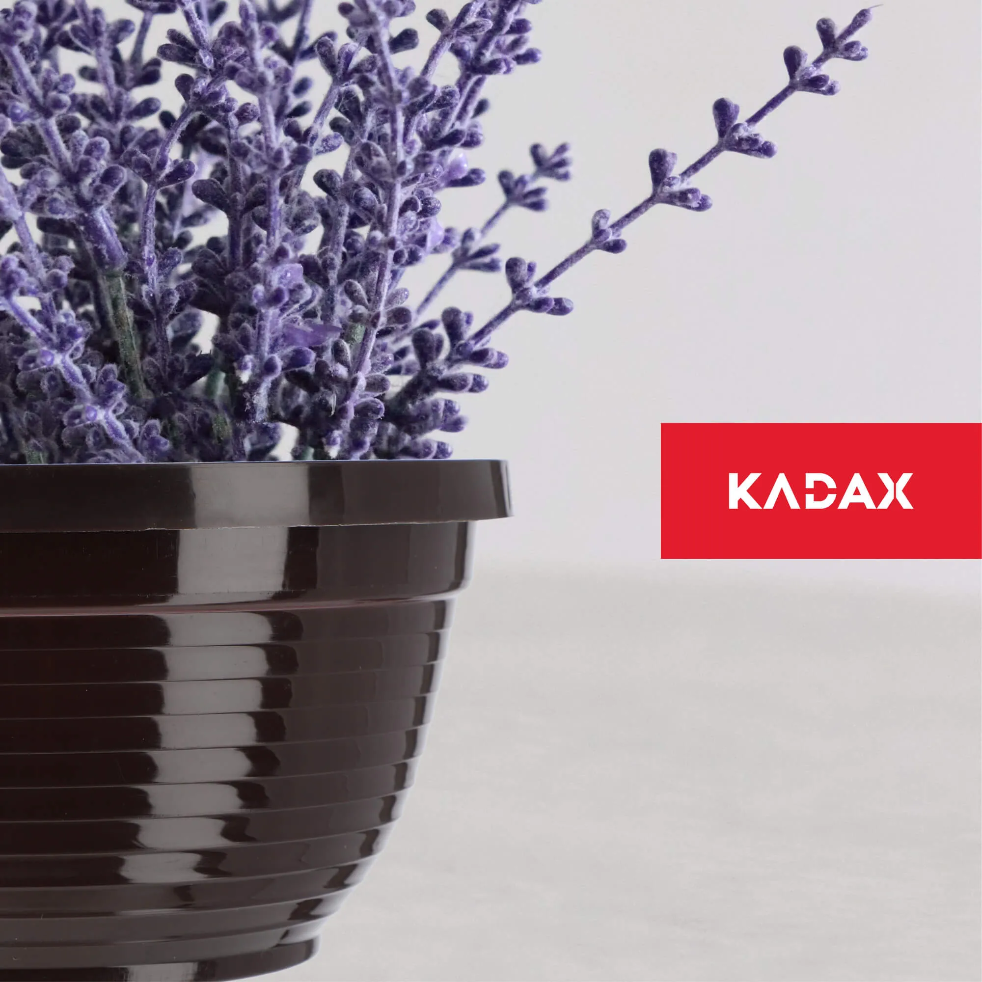 Verna kapinių gėlių dubuo 18 x 9 cm