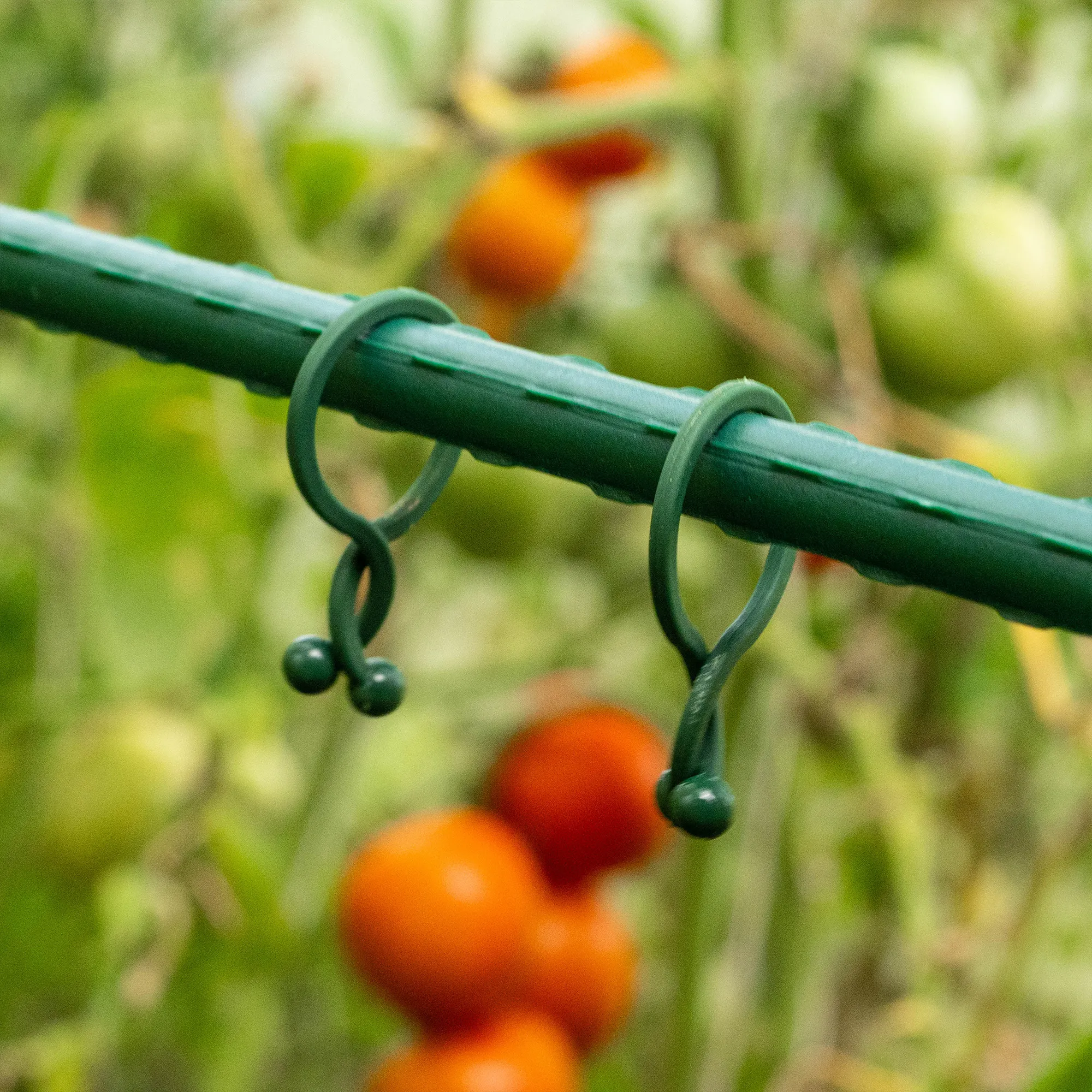 Trezze augalų spaustukai 50 vnt. 18 mm