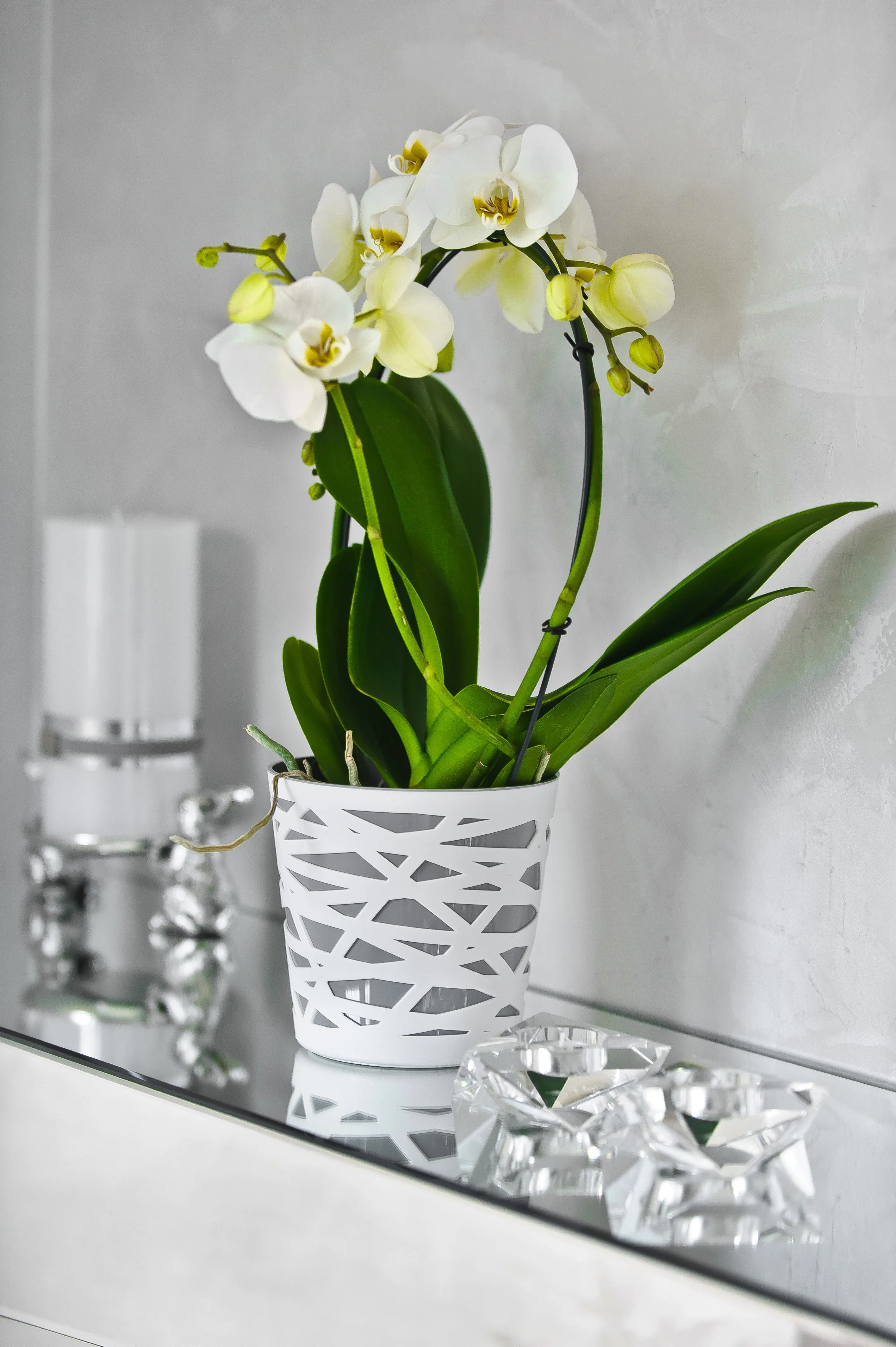 Rusio vazonas su įdėklu 15 cm