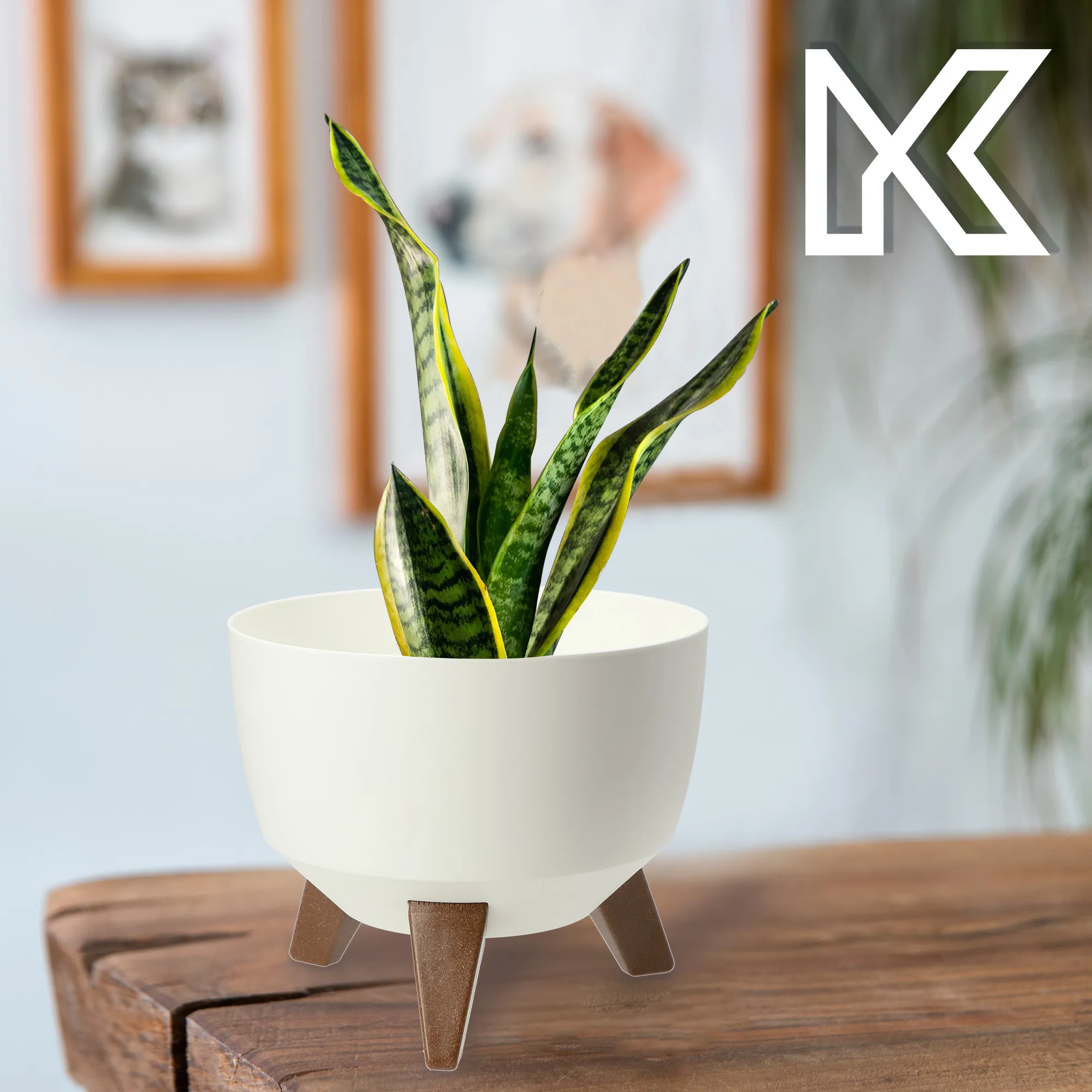 Luri gėlių dubuo su kojelėmis 24 cm