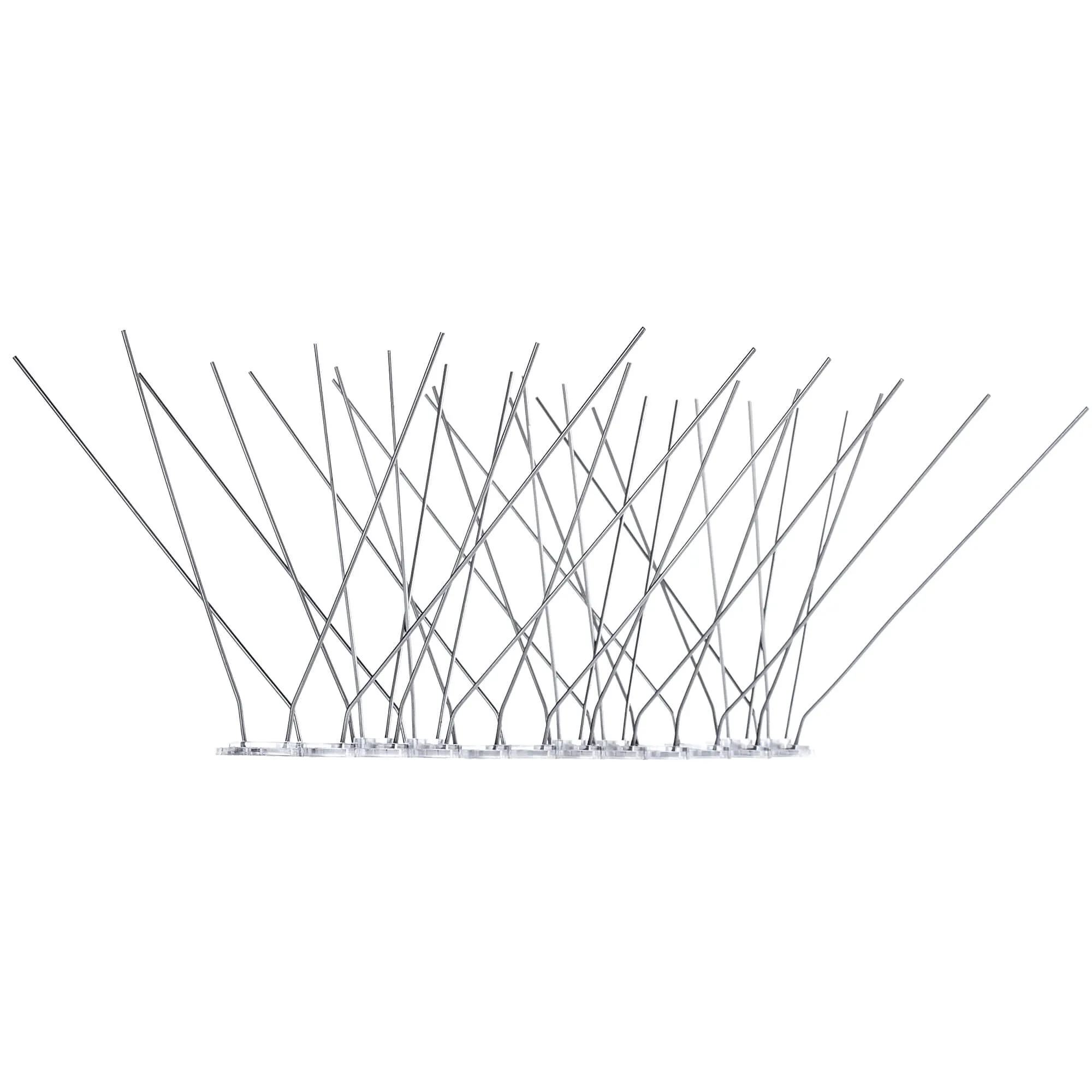 Paukščių spygliai 33 x 10 cm, 1 vnt.