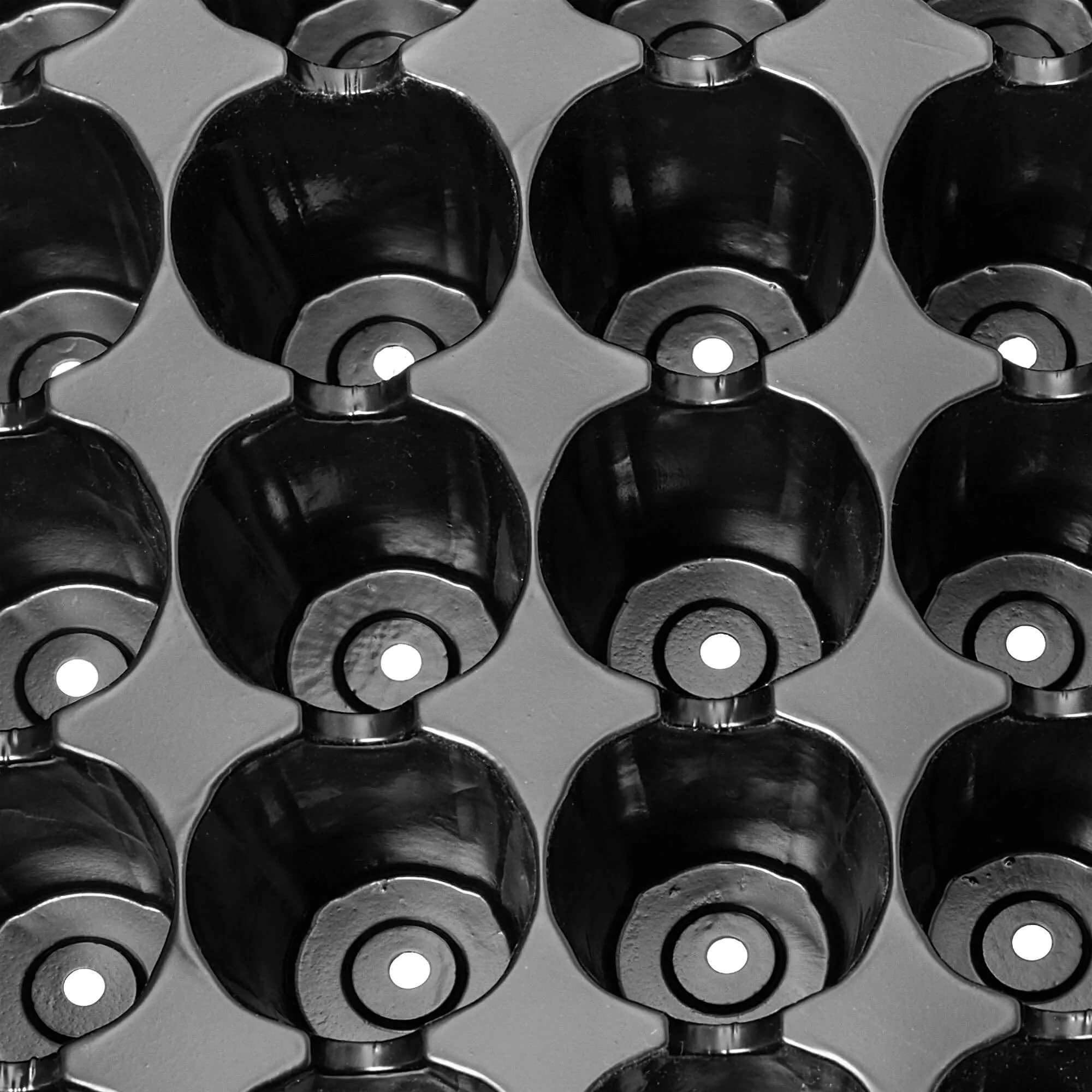 „Vesima“ 50 ląstelių daiginimo mini šiltnamis, juodas ir žalias