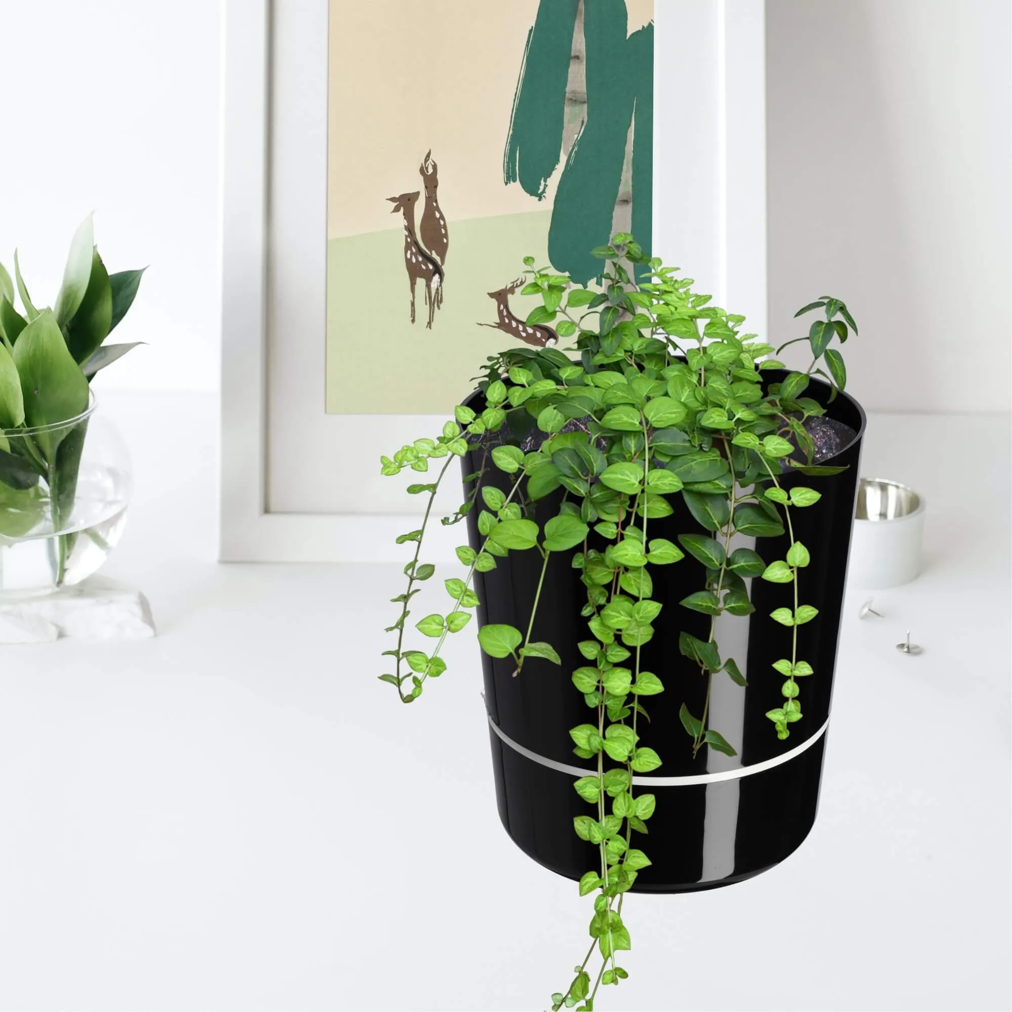 Chisa apvalus gėlių vazonas 25 cm
