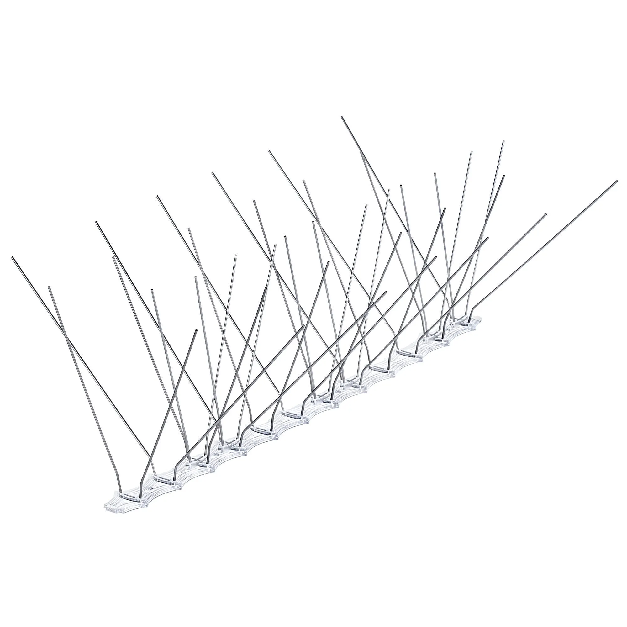 Paukščių spygliai 33 x 10 cm, 1 vnt.