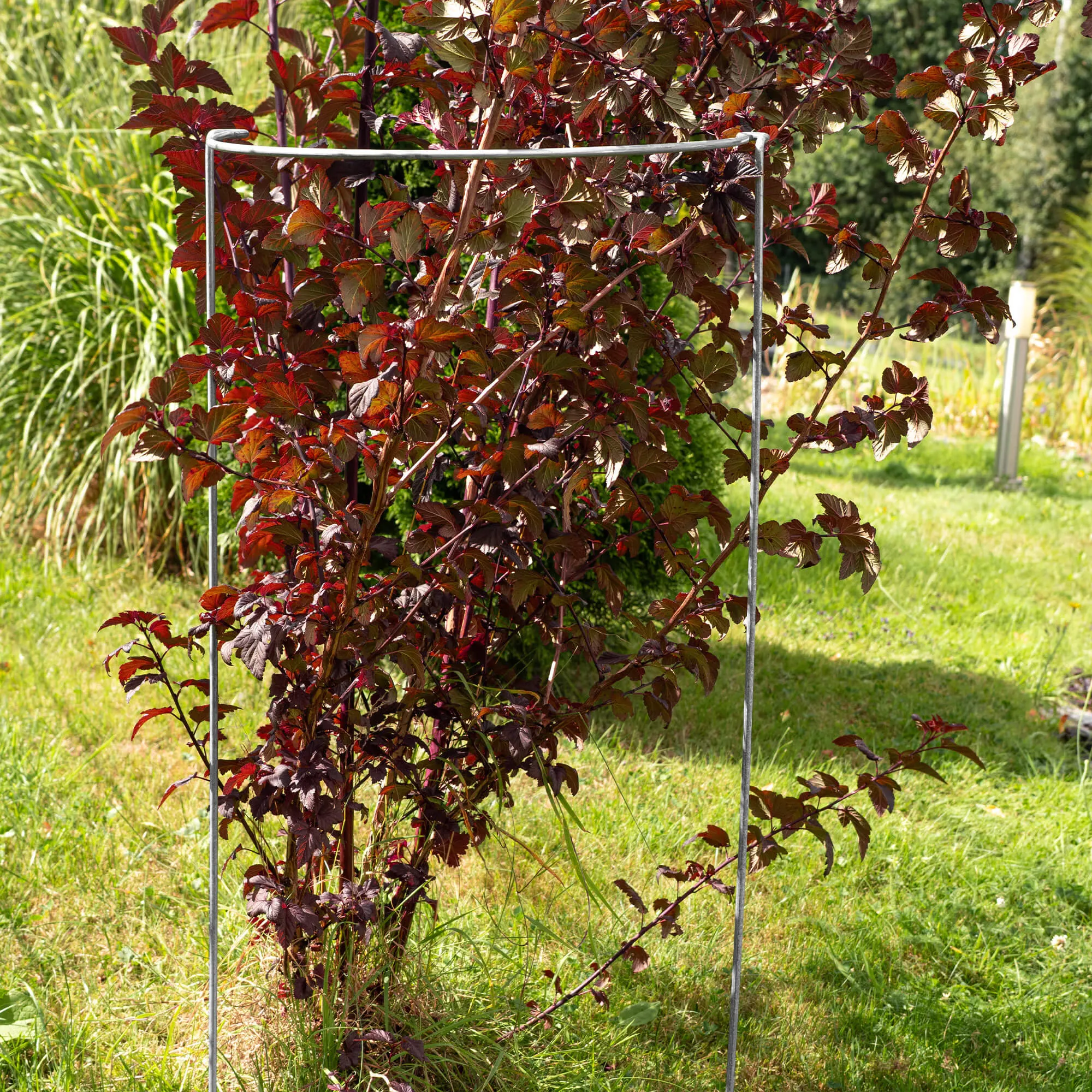 Augalų atrama 39 x 75 cm