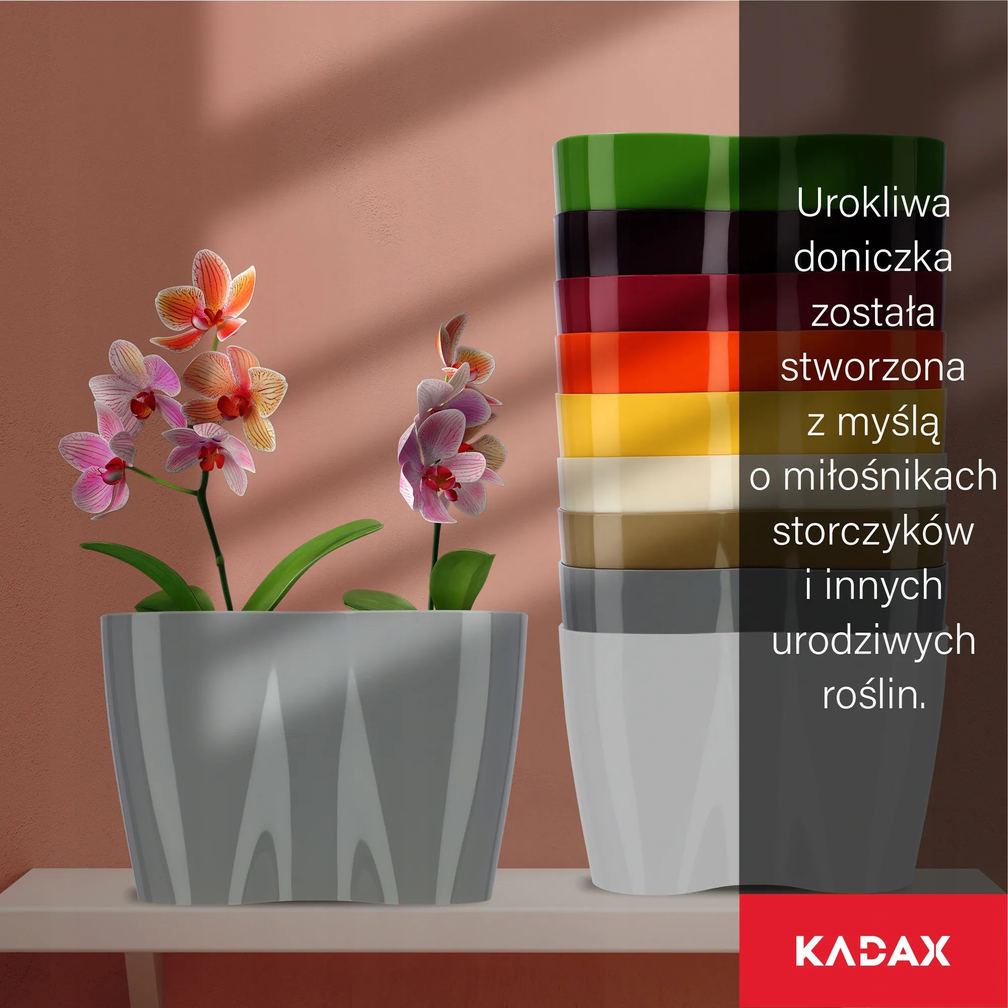Fermo dvigubas orchidėjų vazonas 23 x 15 cm