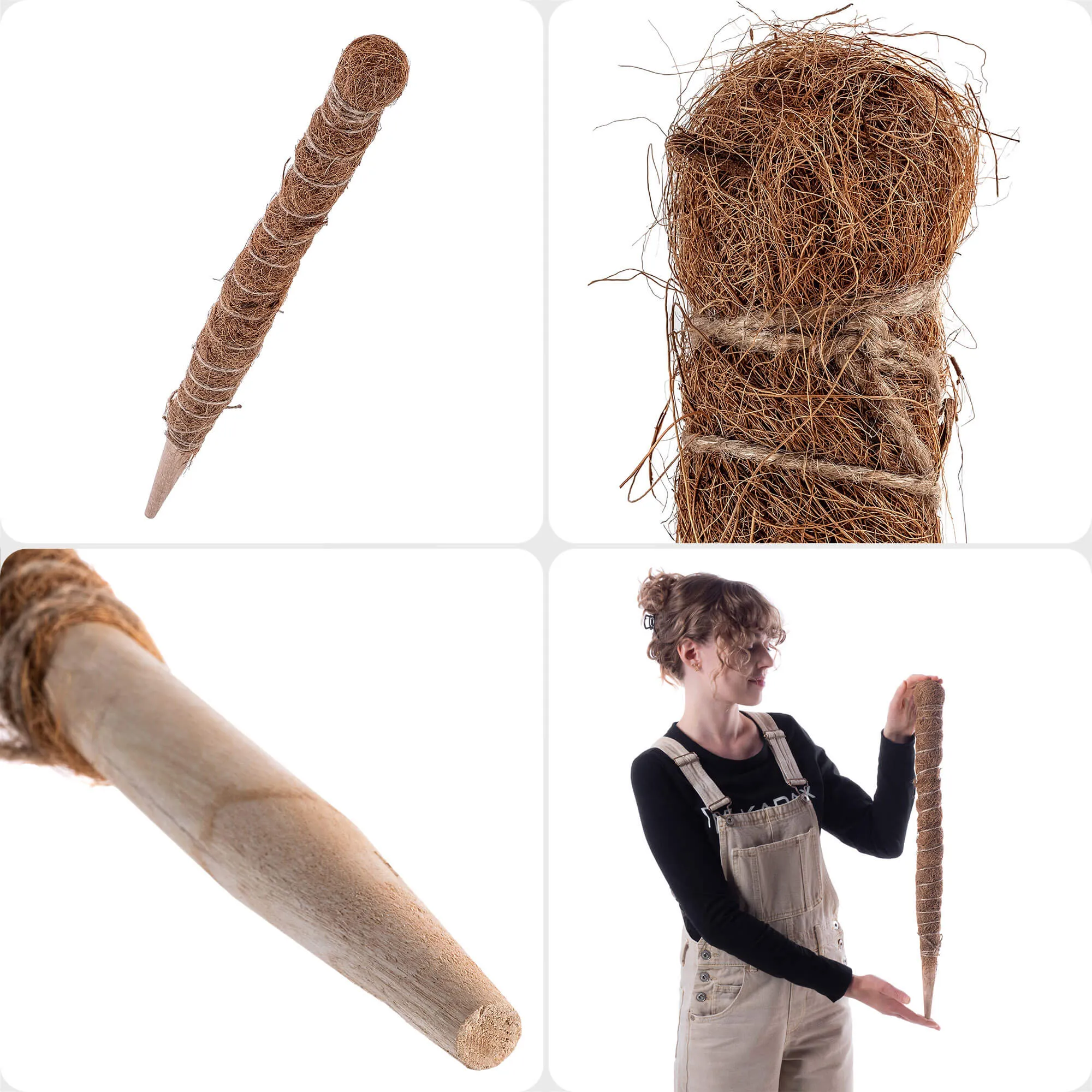 Cande kokoso augalo kuolas 60 cm vazoninis atraminis elementas 1 vnt.