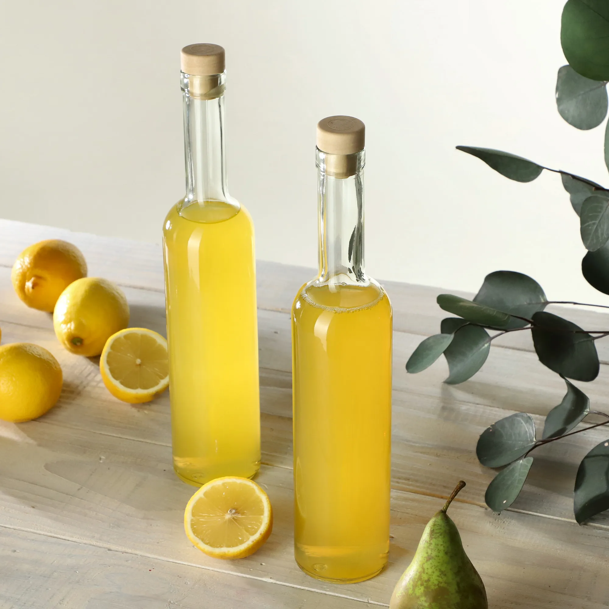 Bertigo butelis su kamščiu 0,5 l su kamščiu fi19,5, 2 vnt.