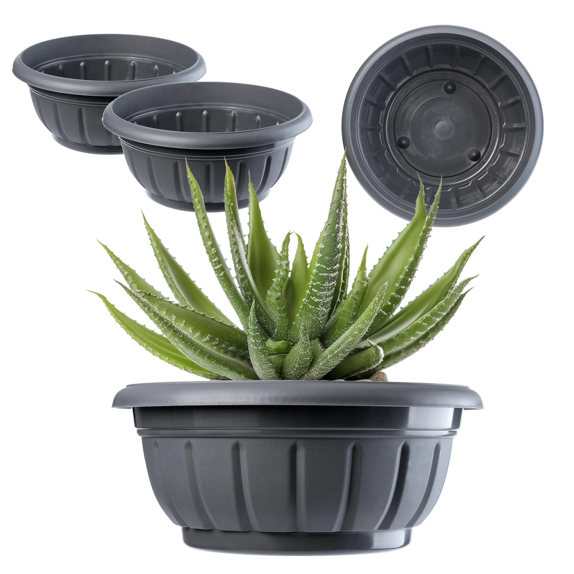 Budrio grafitinis gėlių dubuo 20 cm