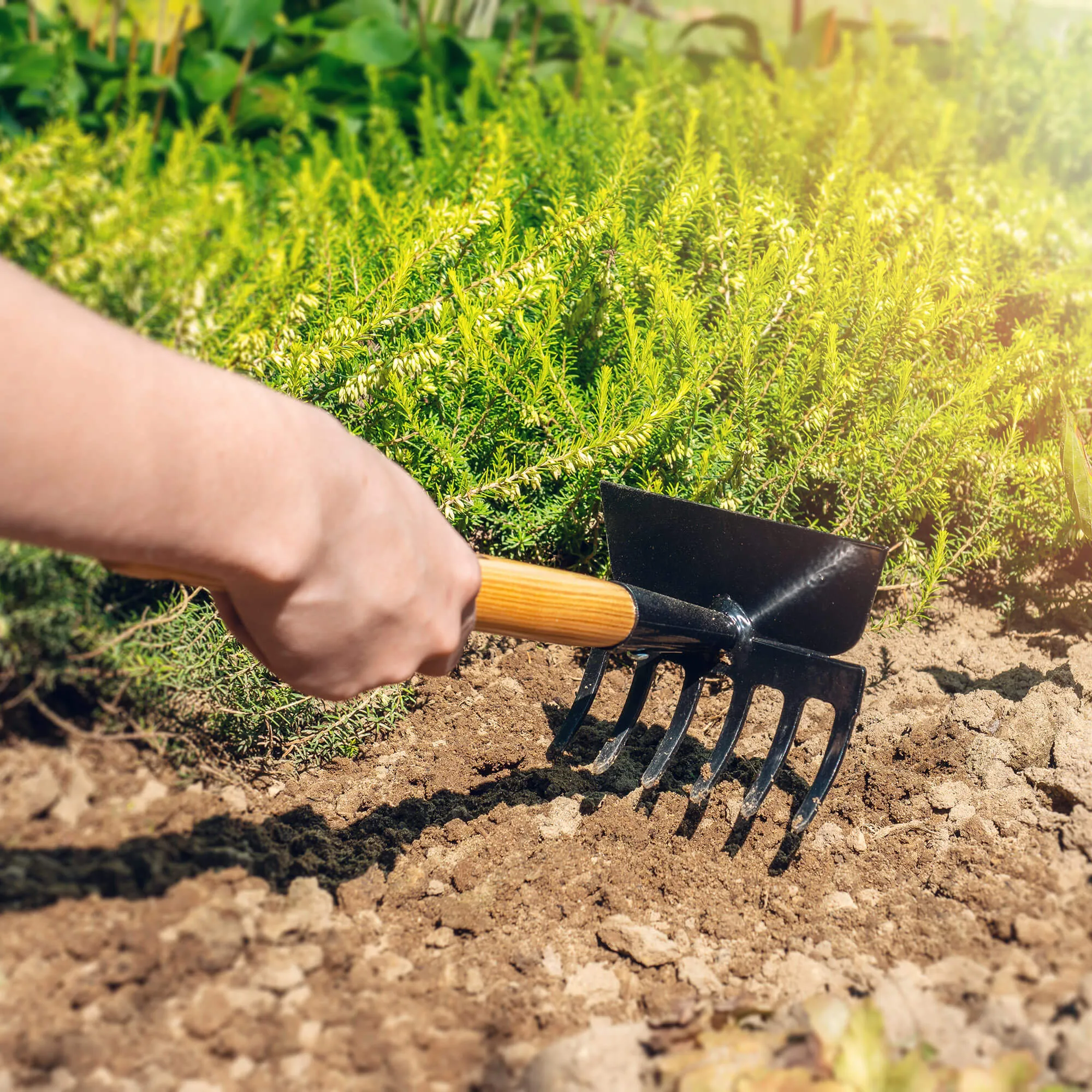 Sodo kauptukas 32 x 12 cm, grafito spalvos