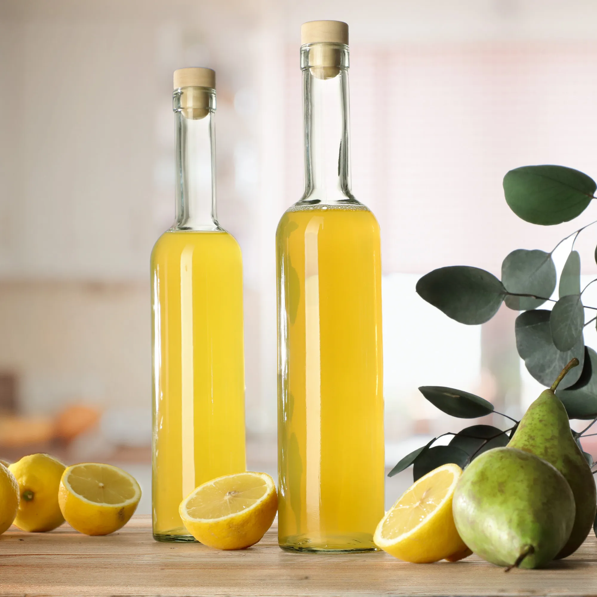 Bertigo butelis su kamščiu 0,5 l su kamščiu fi19,5, 2 vnt.