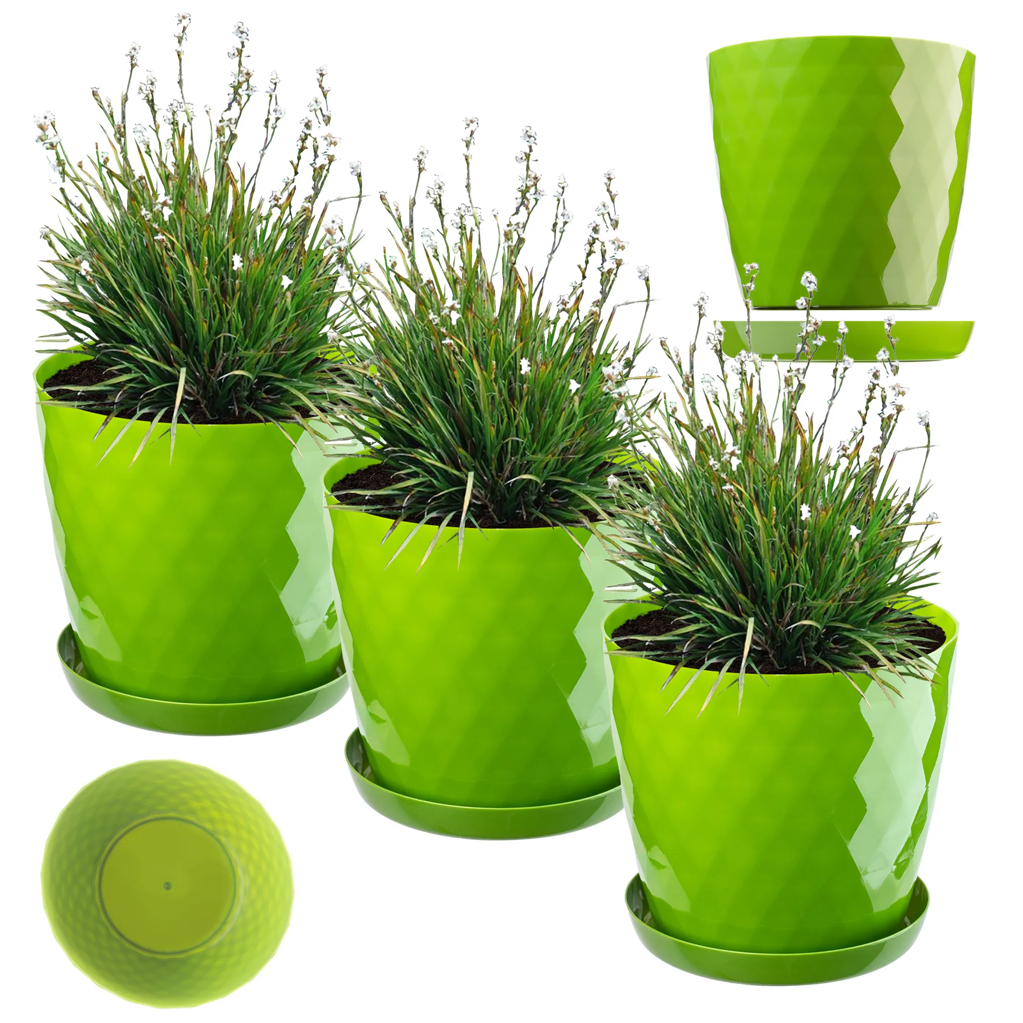 Amily gėlių vazonai su lėkštutėmis