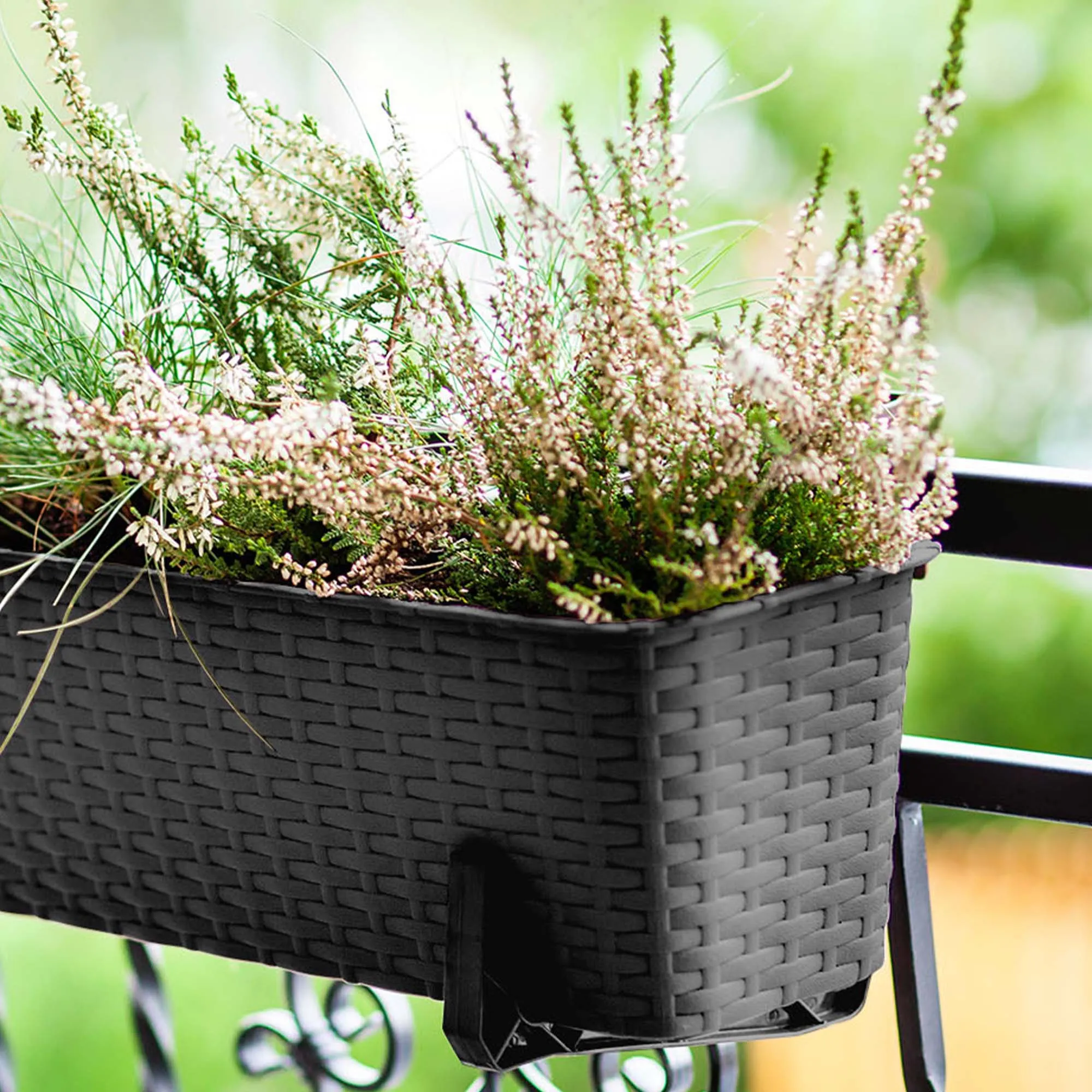 Balkono dėžė su rankenomis Castro antracito spalvos 60 cm