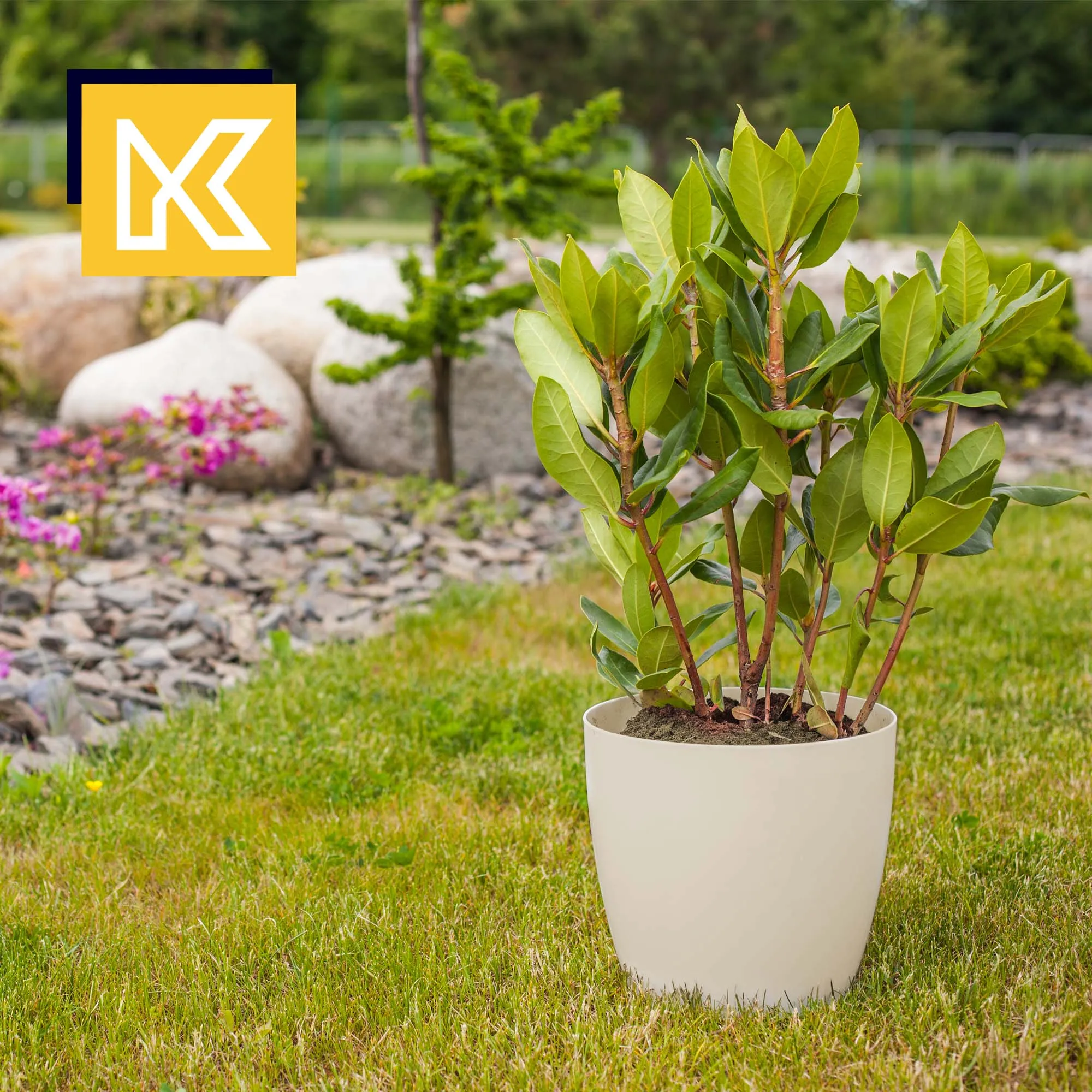 Agen vazonas su grietinėlės lėkštute 18 cm, 3 vnt.