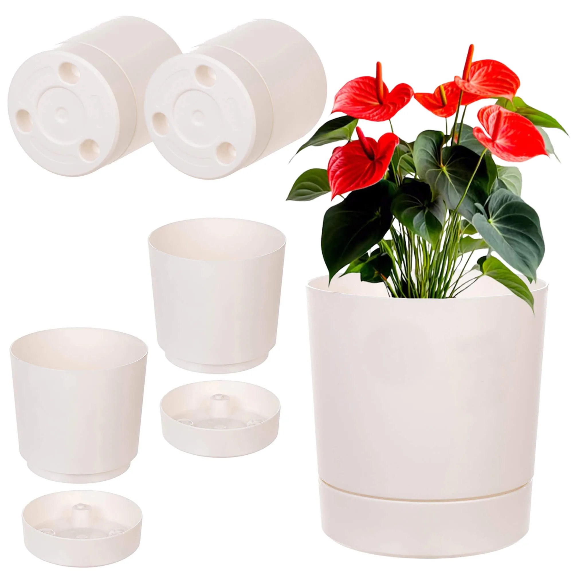 Verri vazonas su lėkštute 14