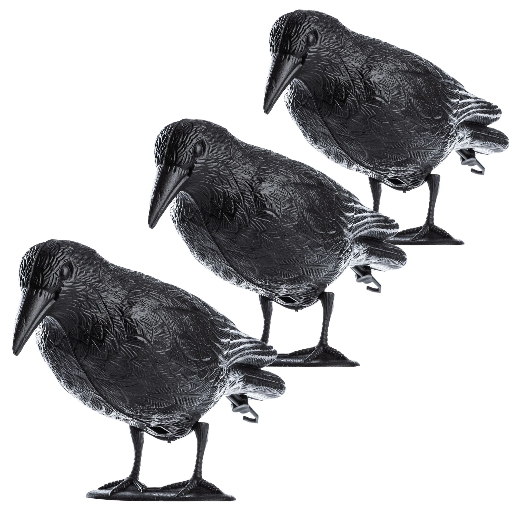 Juodojo varno paukščių baidyklė, juoda, 3 vnt.