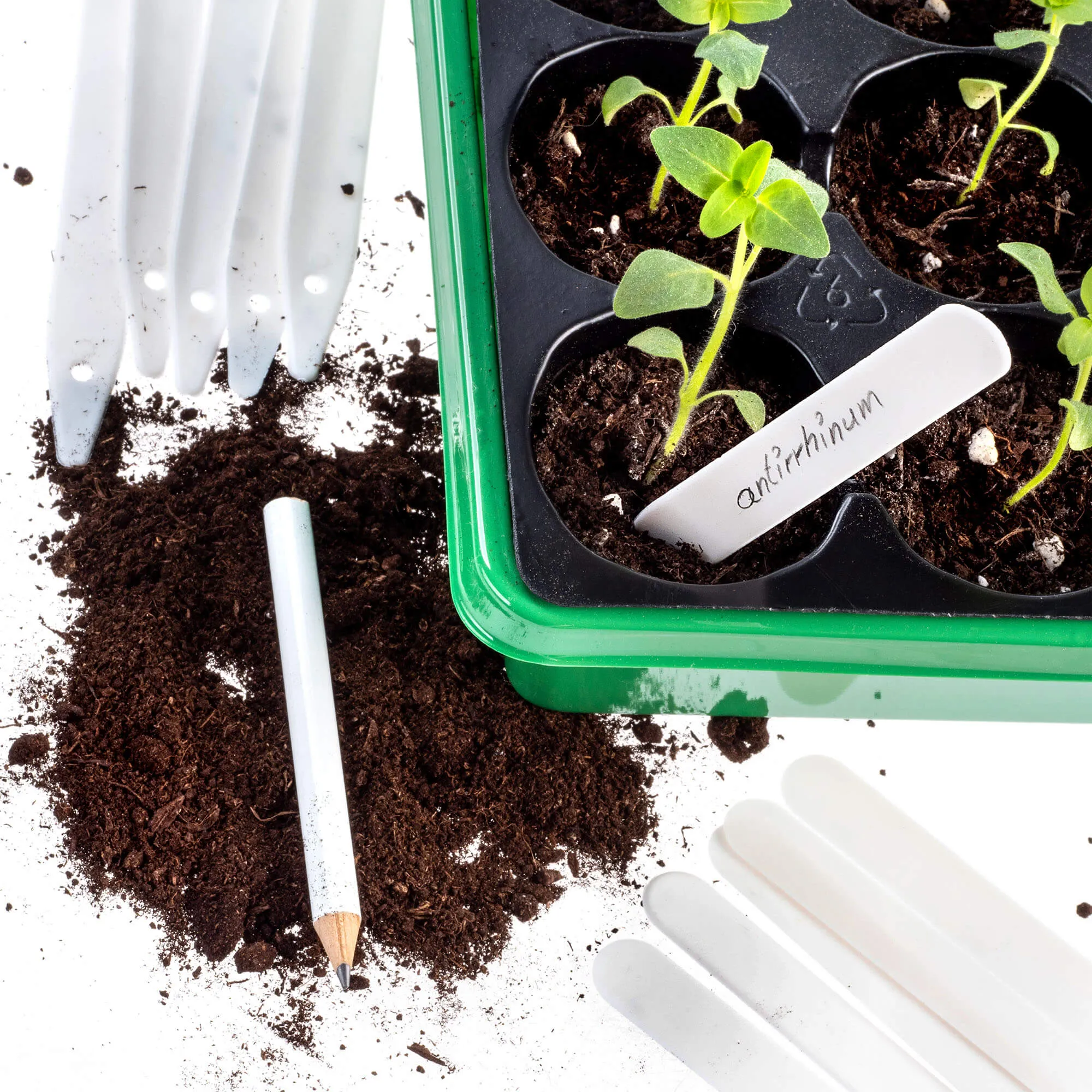 Auriac augalų žymėjimo etiketės, 30 vnt.