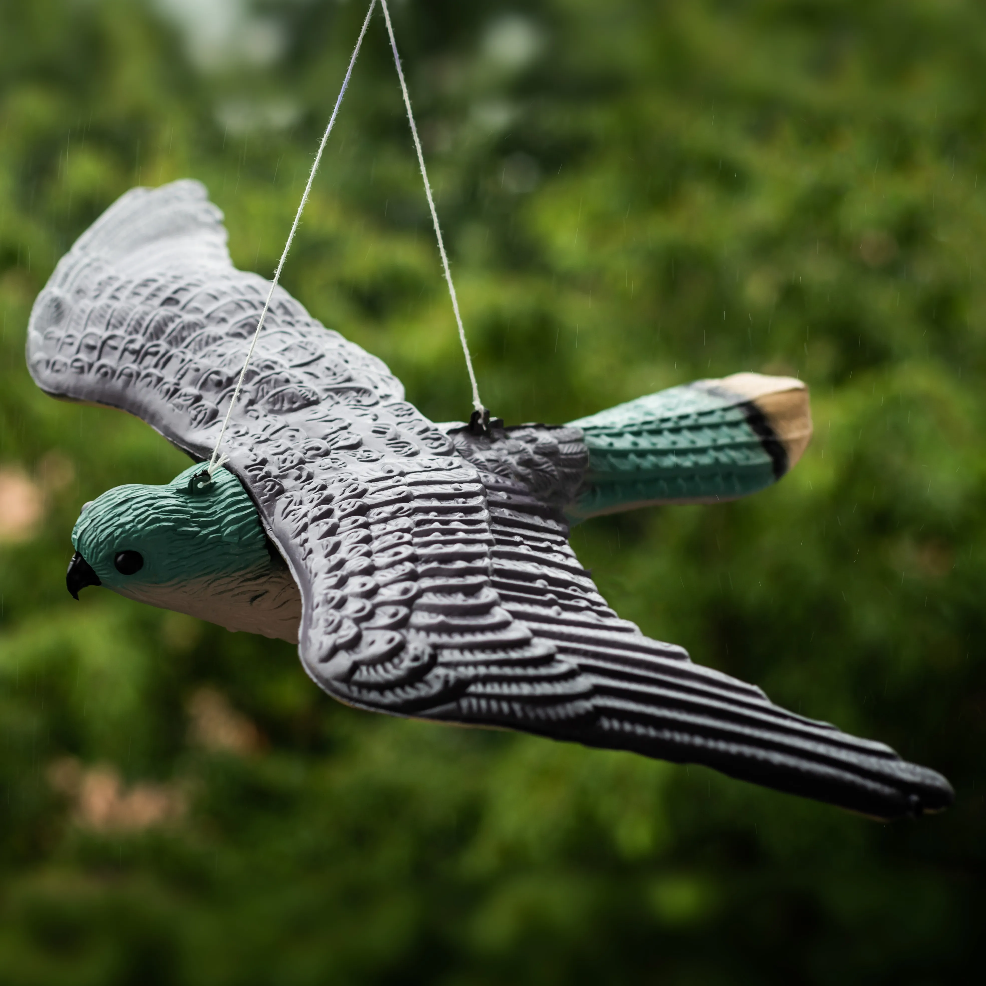 Skraidantis pelėsakalis 54 cm, vanago, balandžio ir paukščių baidytuvas