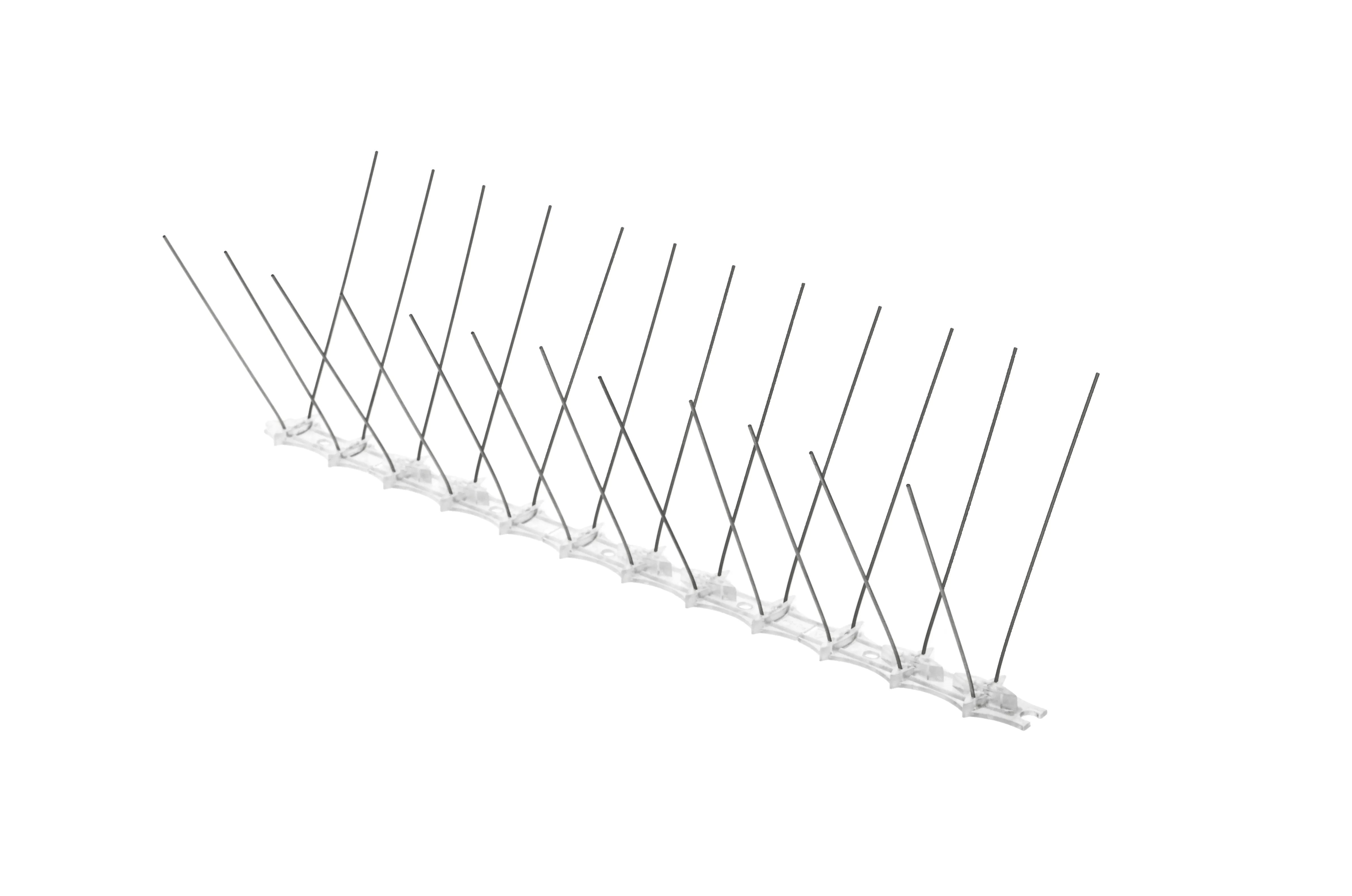 Paukščių spygliai 10 x 33 cm, 1 vnt., 24 spygliai