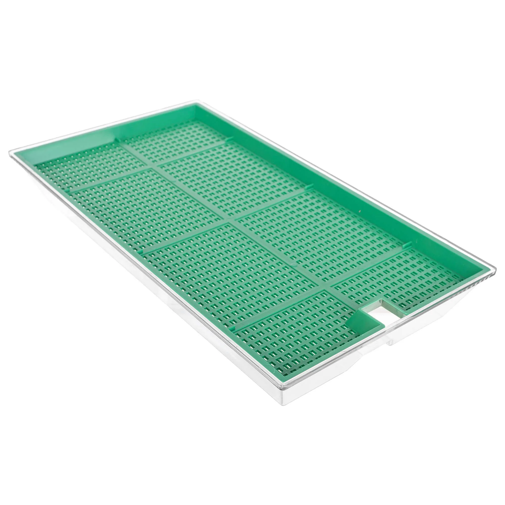 Clion daiginimo įrenginys didelis 27 x 15 cm žalias