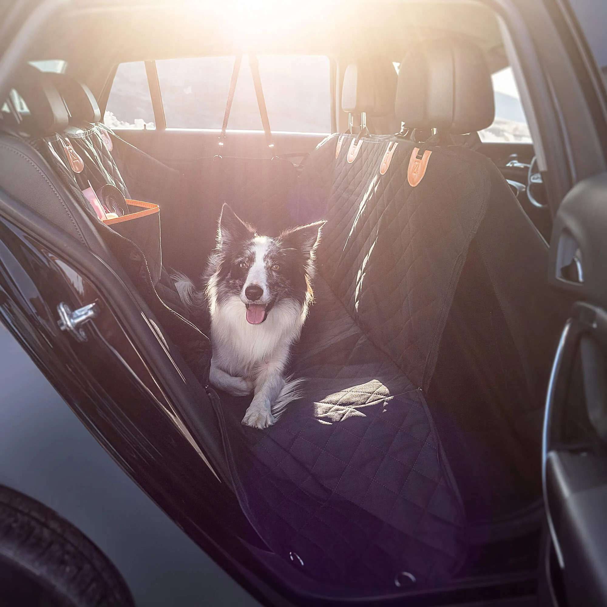 Tapila šuns automobilio sėdynės užvalkalas 135 x 47 cm