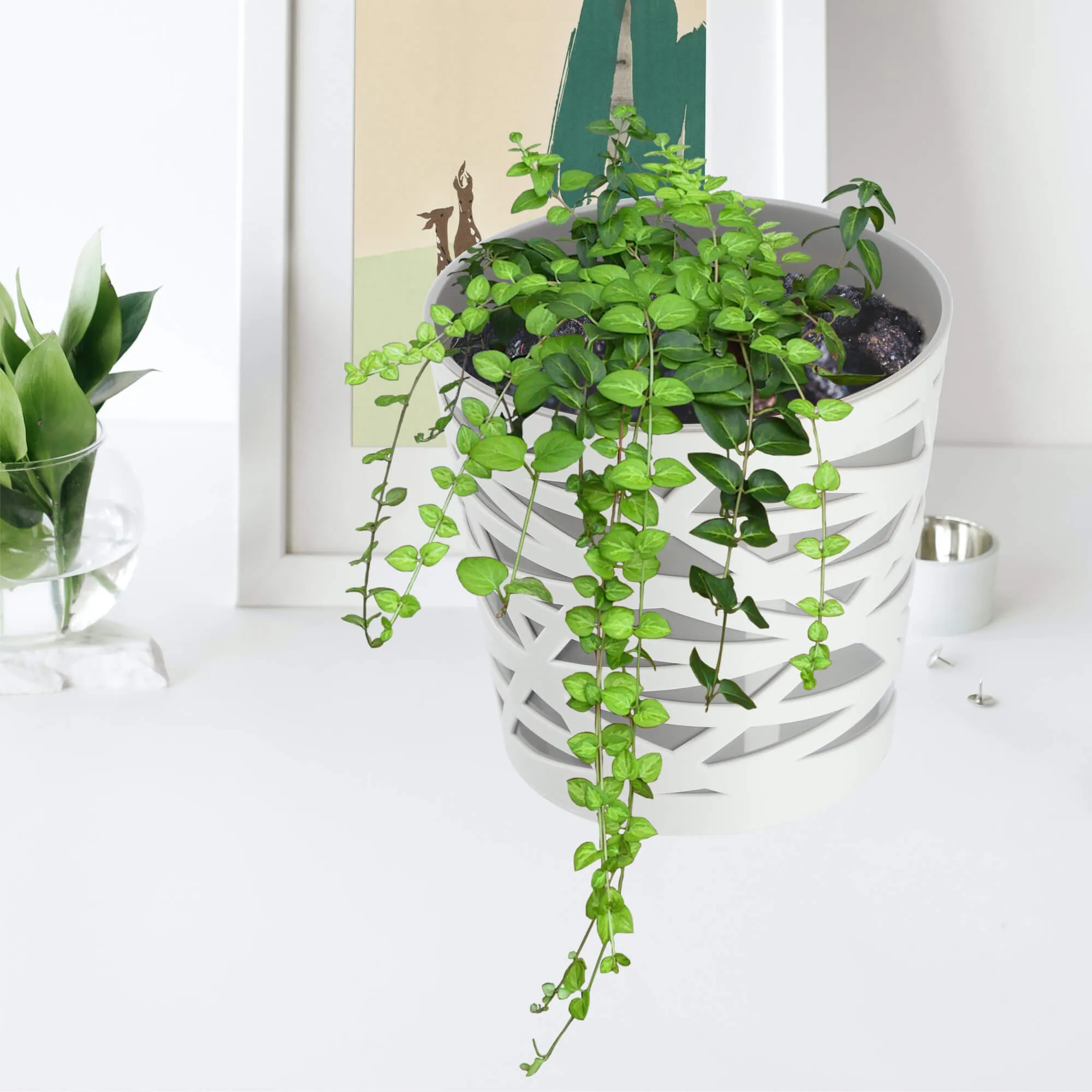 Rusio vazonas su įdėklu 15 cm