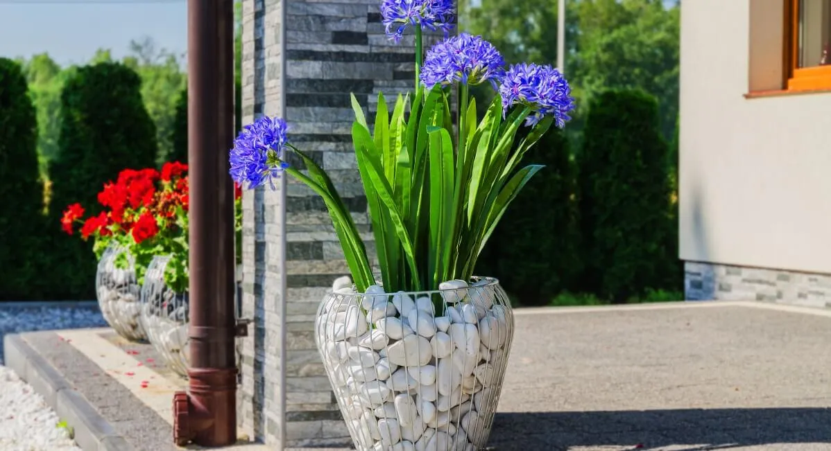 Plieninis gabioninis vazonas 42 x 38 cm