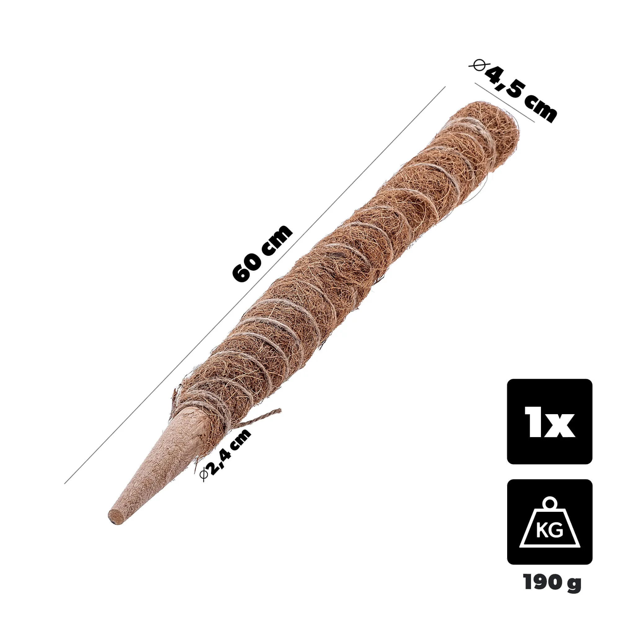 Cande kokoso augalo kuolas 60 cm vazoninis atraminis elementas 1 vnt.