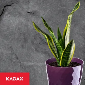 Amily gėlių vazonas su lėkštute 25 cm