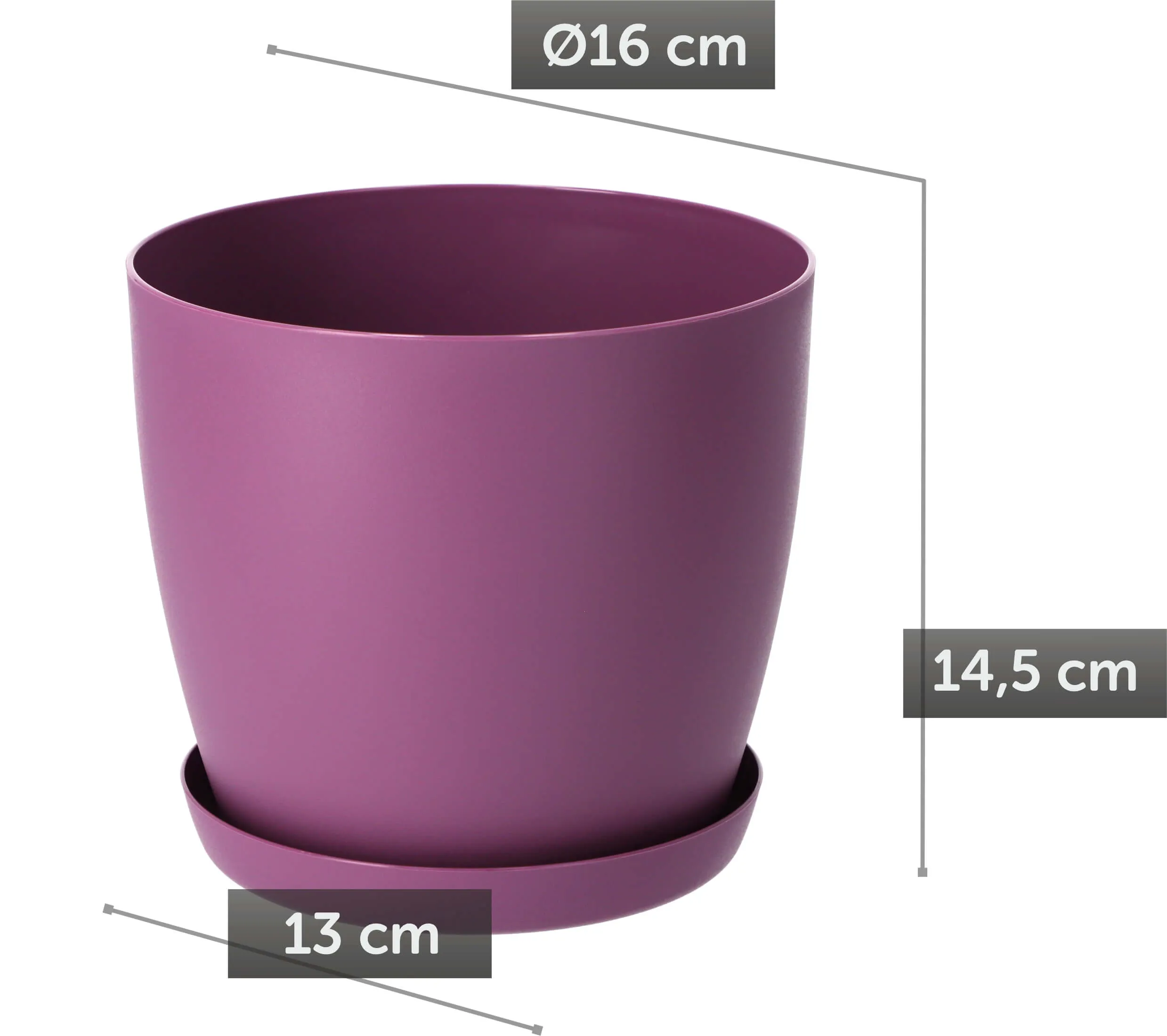 Agen vazonas su lėkštute 16 cm