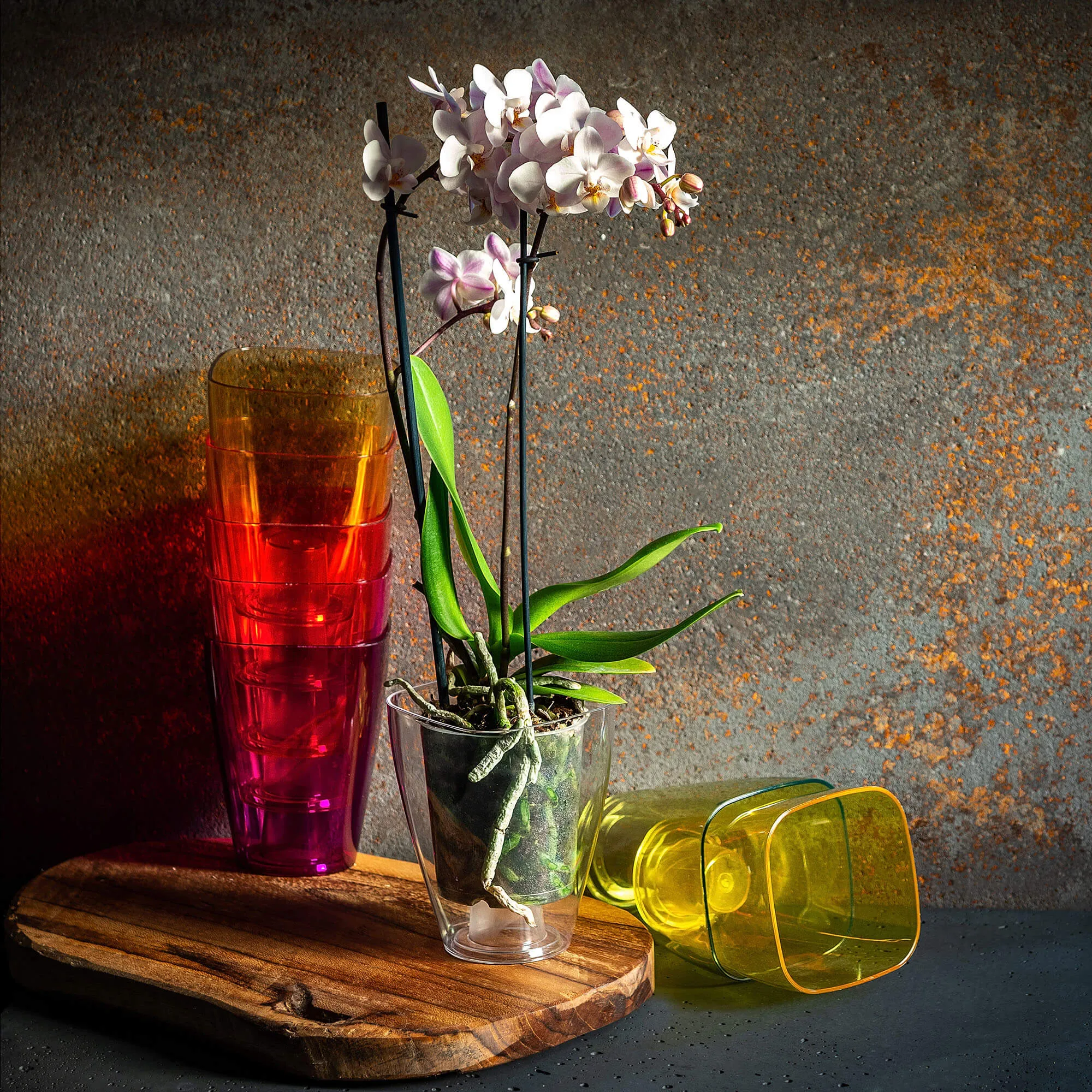 Menfi kvadratinis vazonas 12 cm