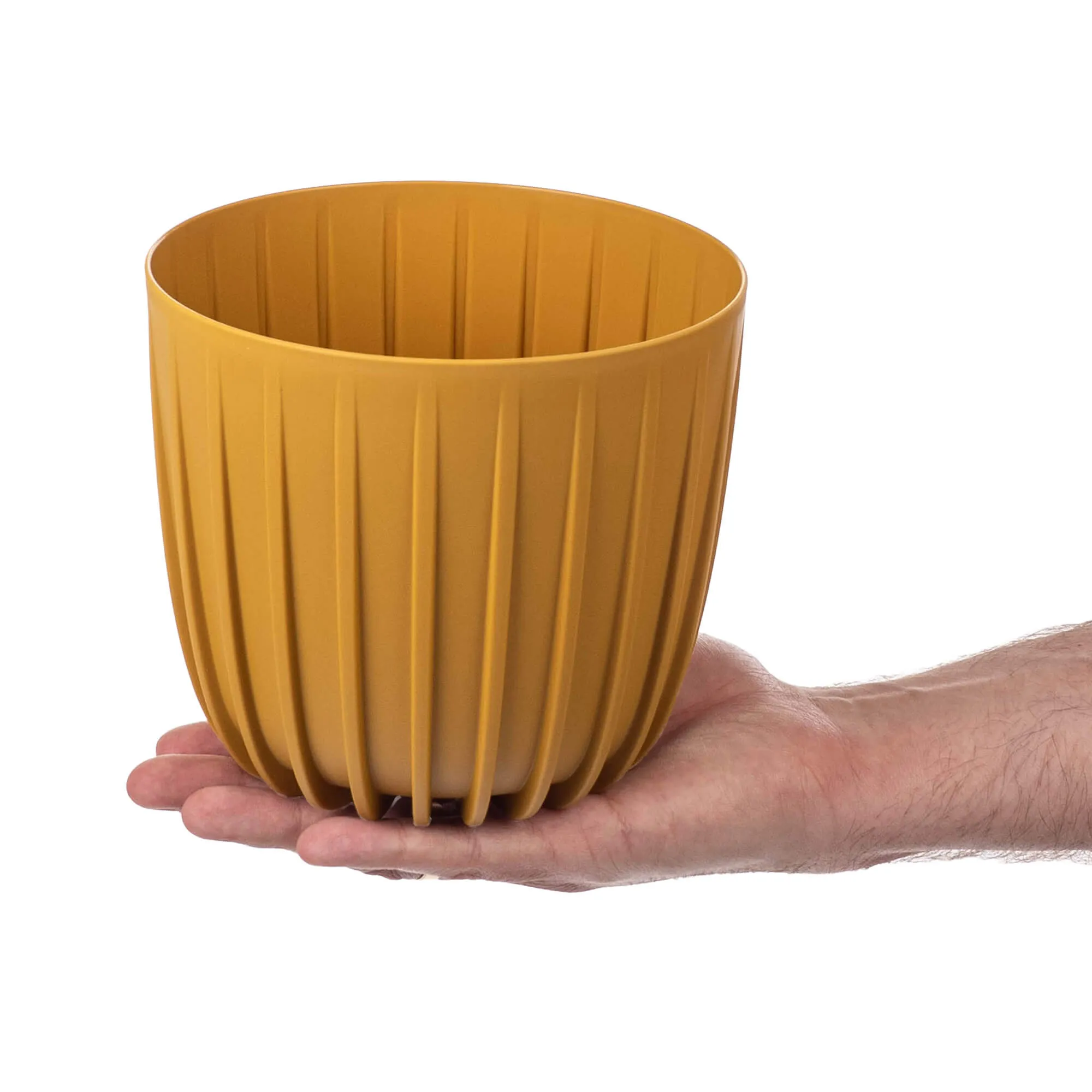 Costa apvalkalas 16 cm garstyčių spalvos