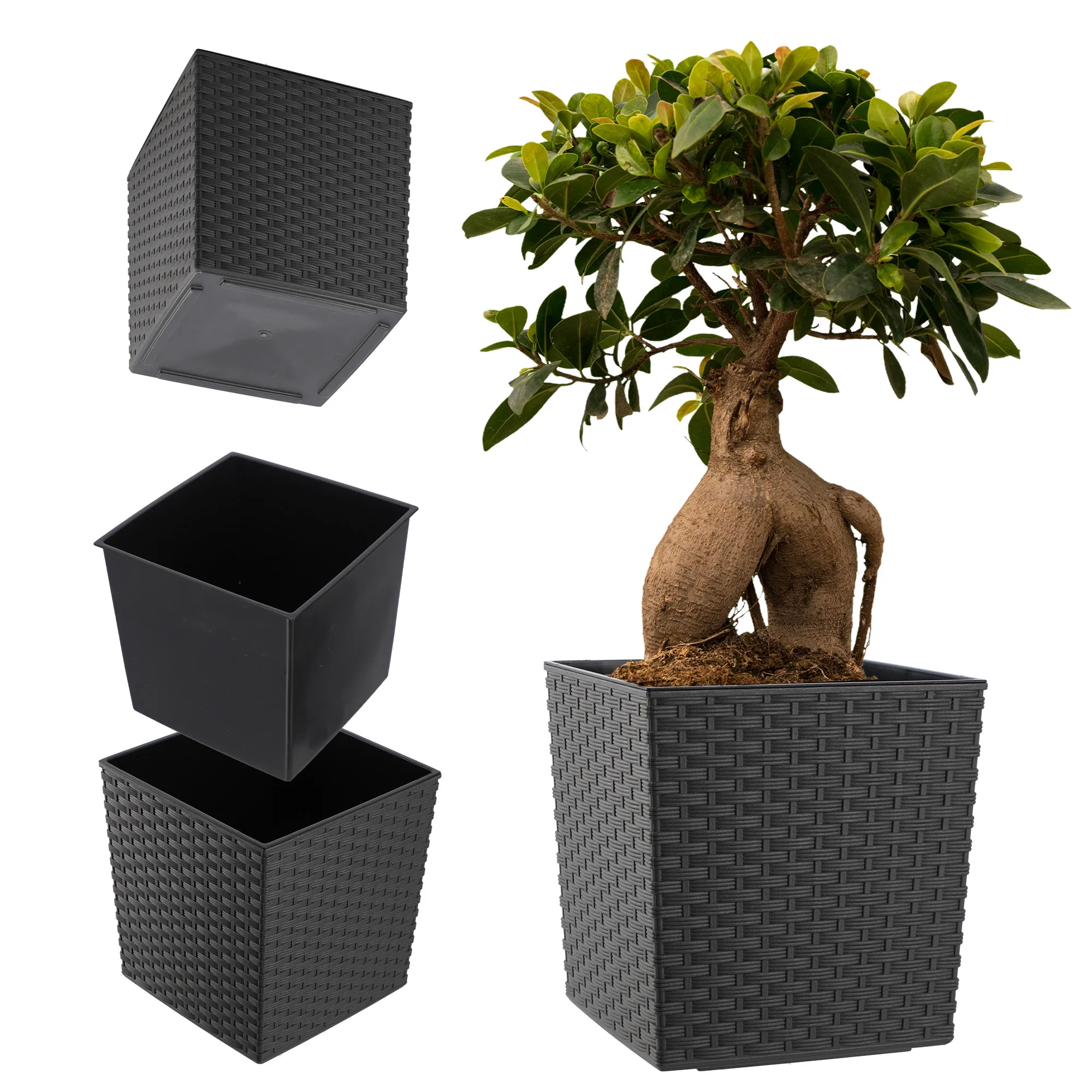 Gėlių vazonas su rotango įdėklu 19 cm