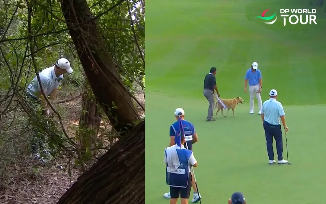 Crazy Golf Moments | 2025 DP World India Championship Crazy Golf Moments | 2025 DP World India Championship
