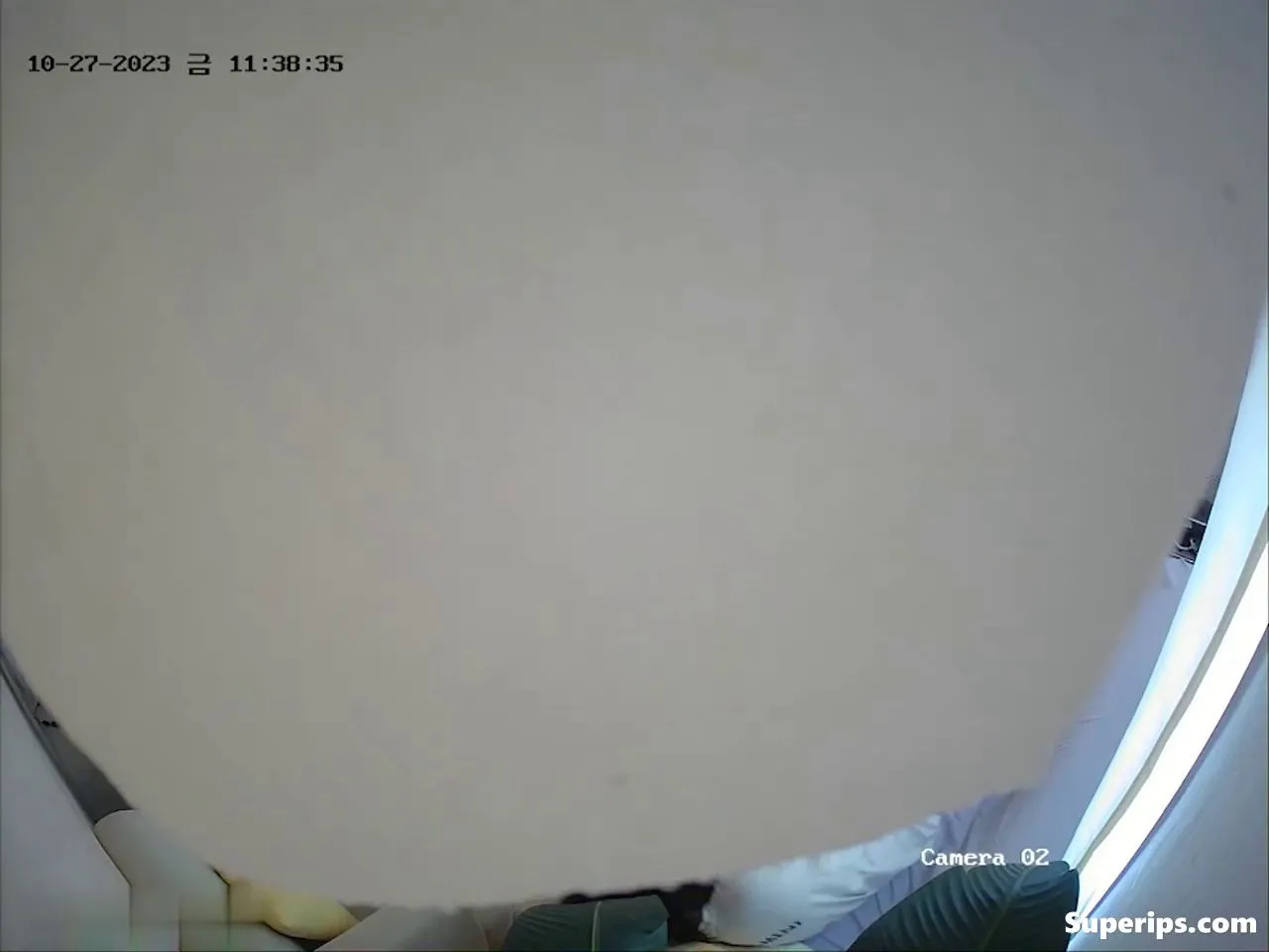 IPCAM – Korean college couple has hidden sex IPCAM – Korean college couple has hidden sex