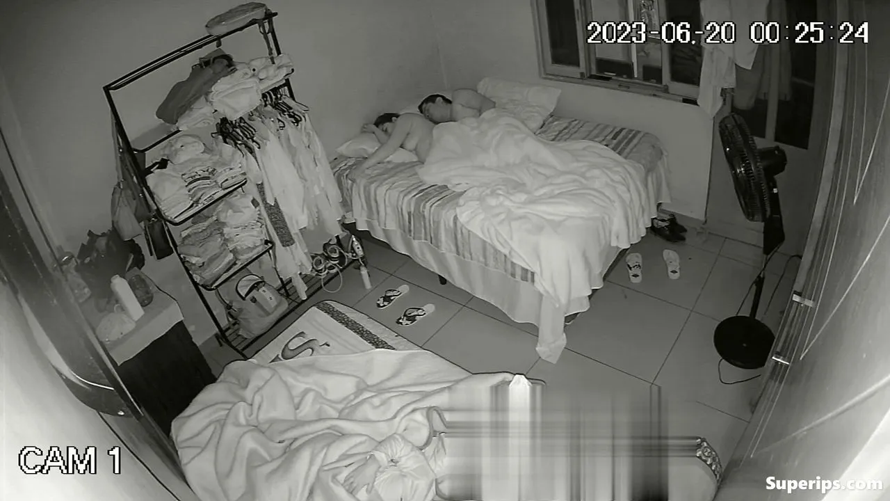IPCAM β IPCAM β