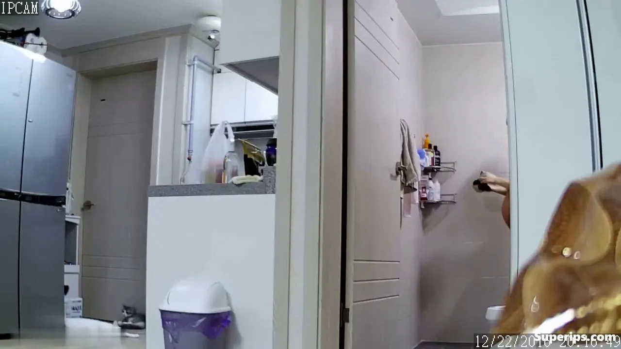IPCAM – Korean pregnant girl takes a shower IPCAM – Korean pregnant girl takes a shower