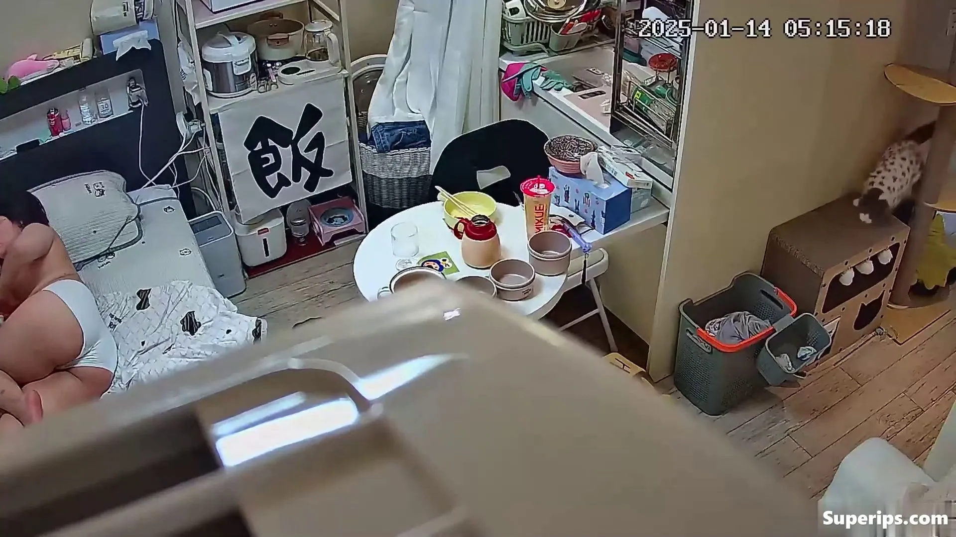 IPCAM – Compilation of a chubby Korean girl IPCAM – Compilation of a chubby Korean girl