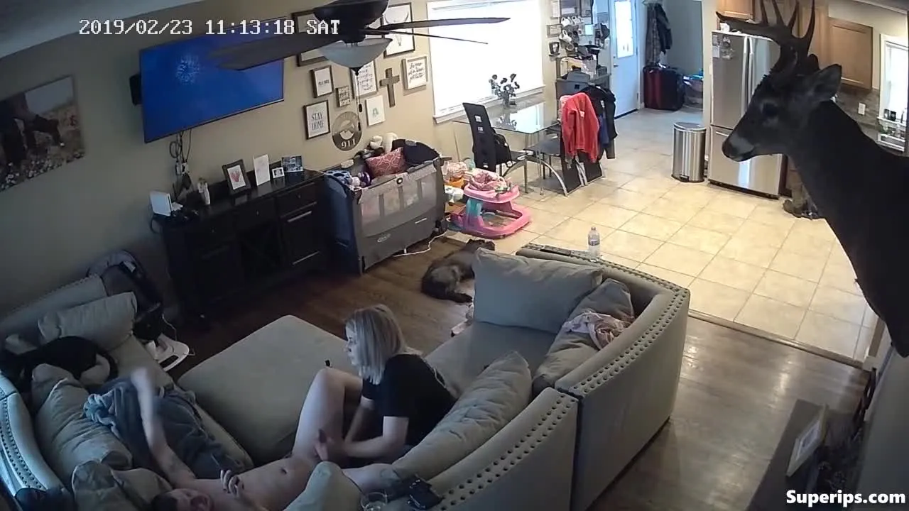 IPCAM β American college girl gives her boyfriend a jerk off IPCAM β American college girl gives her boyfriend a jerk off