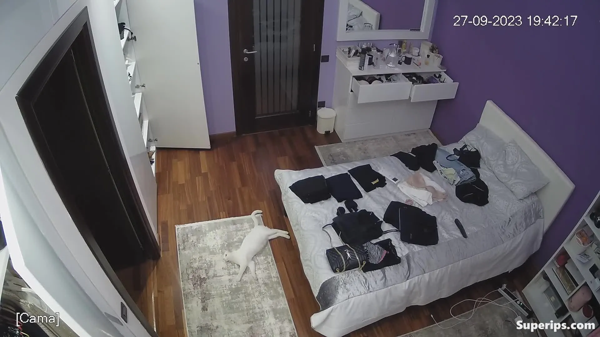 IPCAM – Gorgeous French girl gets dressed in her room IPCAM – Gorgeous French girl gets dressed in her room