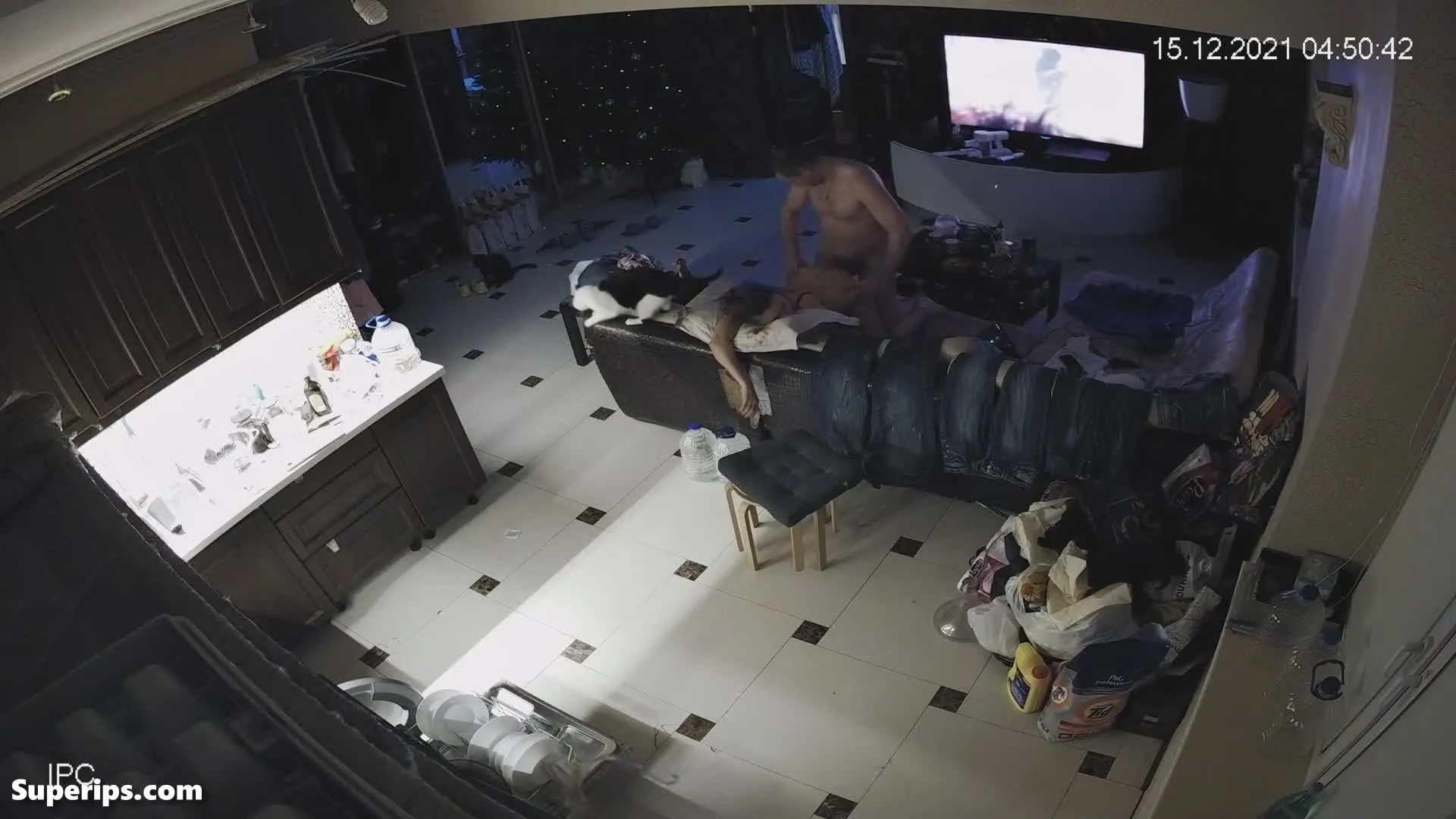 IPCAM – Drunk American woman gets brutally fucked IPCAM – Drunk American woman gets brutally fucked