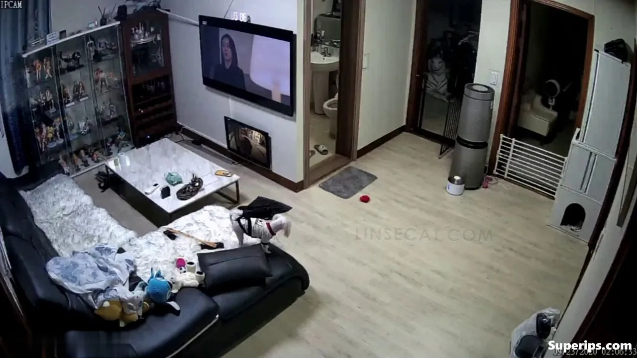 IPCAM – Compilation of Korean parents having sex IPCAM – Compilation of Korean parents having sex