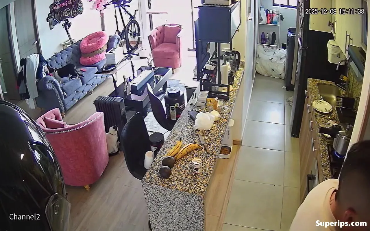 IPCAM – Cute young girl gets fucked in the kitchen IPCAM – Cute young girl gets fucked in the kitchen