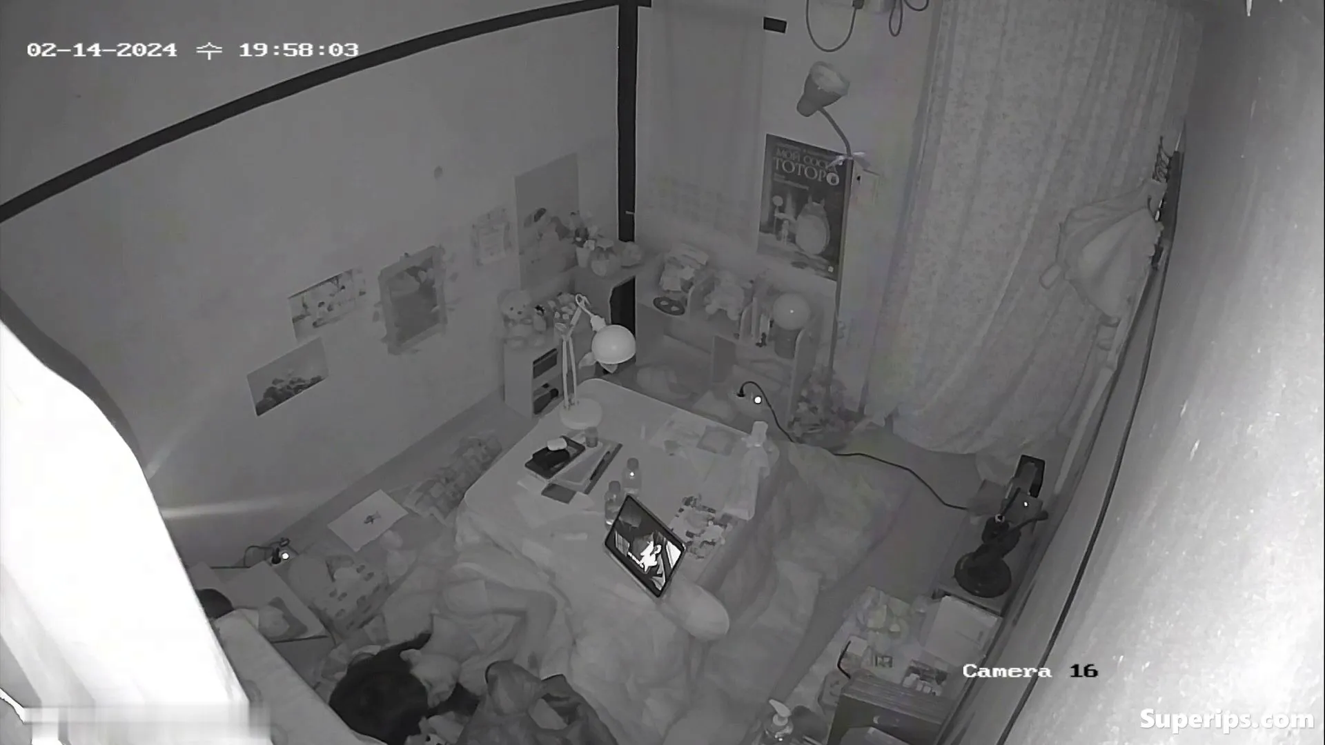IPCAM – Japanese teenage couple fucks in their room IPCAM – Japanese teenage couple fucks in their room